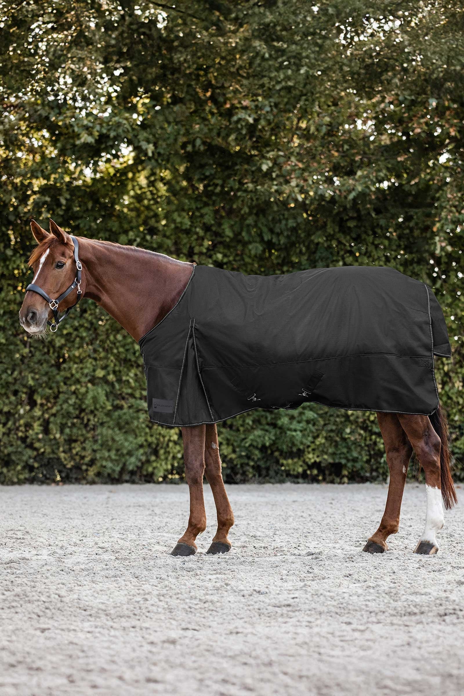 Waldhausen Nordic Výběhové deky, 200 g Horse Rugs