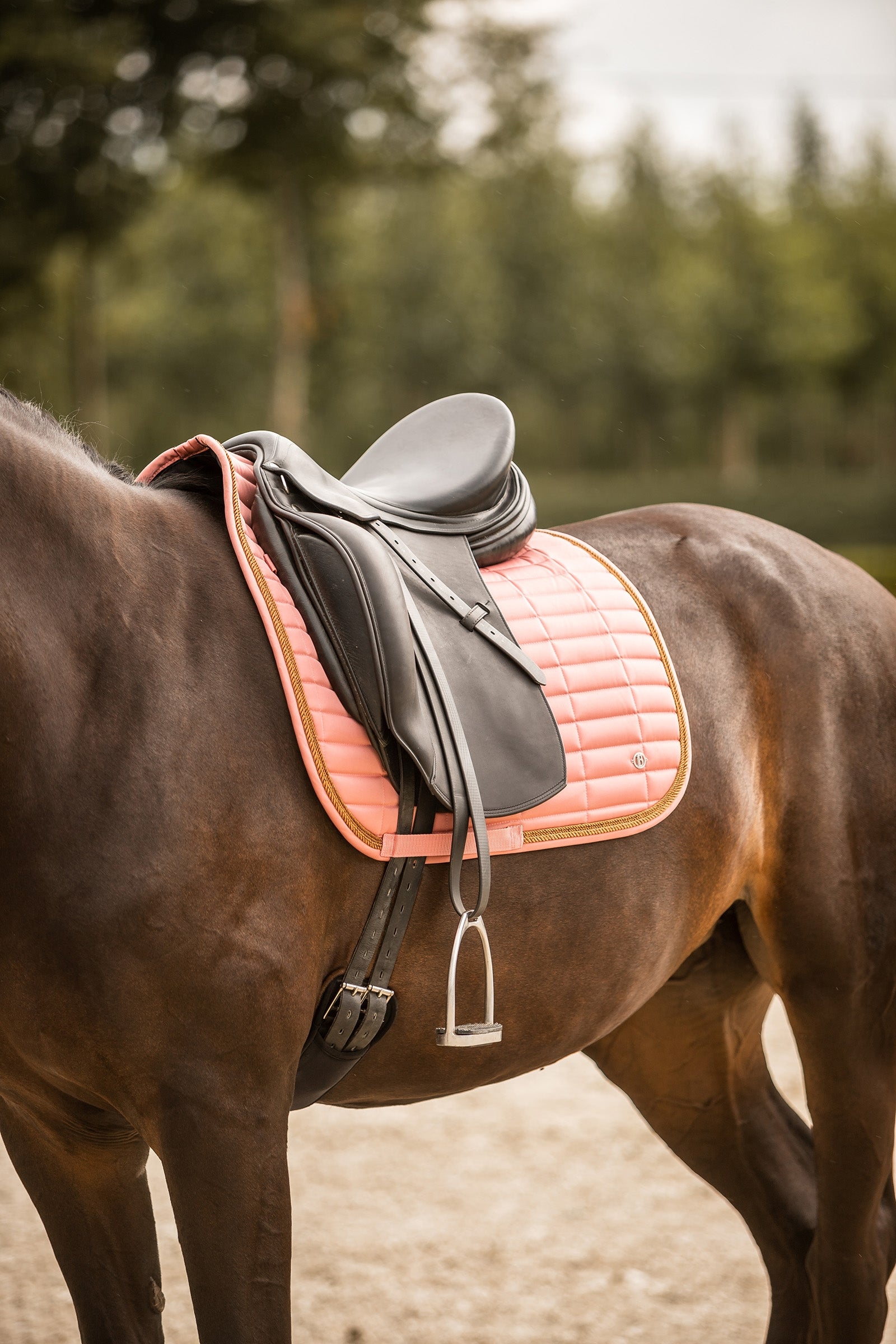 B Vertigo Quinn Dressage Saddle Pad Saddle Pads