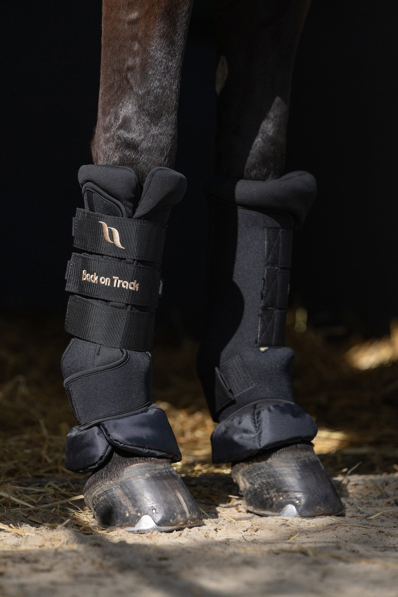 Back on Track Back On Track Quick Royal Leg Wraps Leg Protection & Hoof Protection for Horses