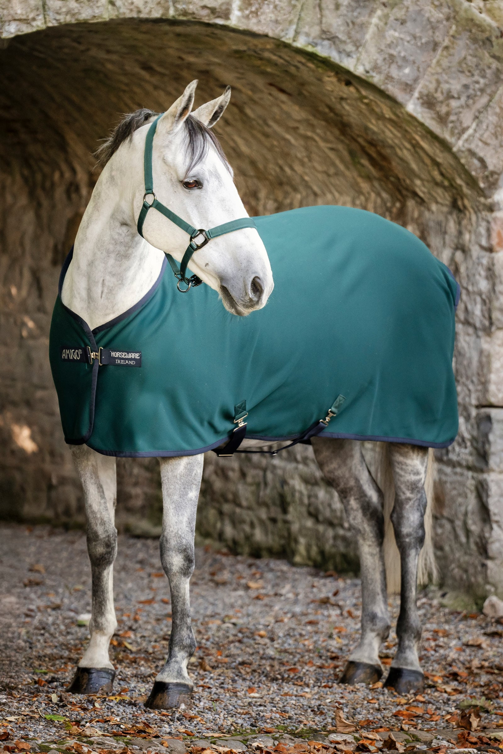 Horseware Amigo jerseyová odpocovací deka Horse Rugs