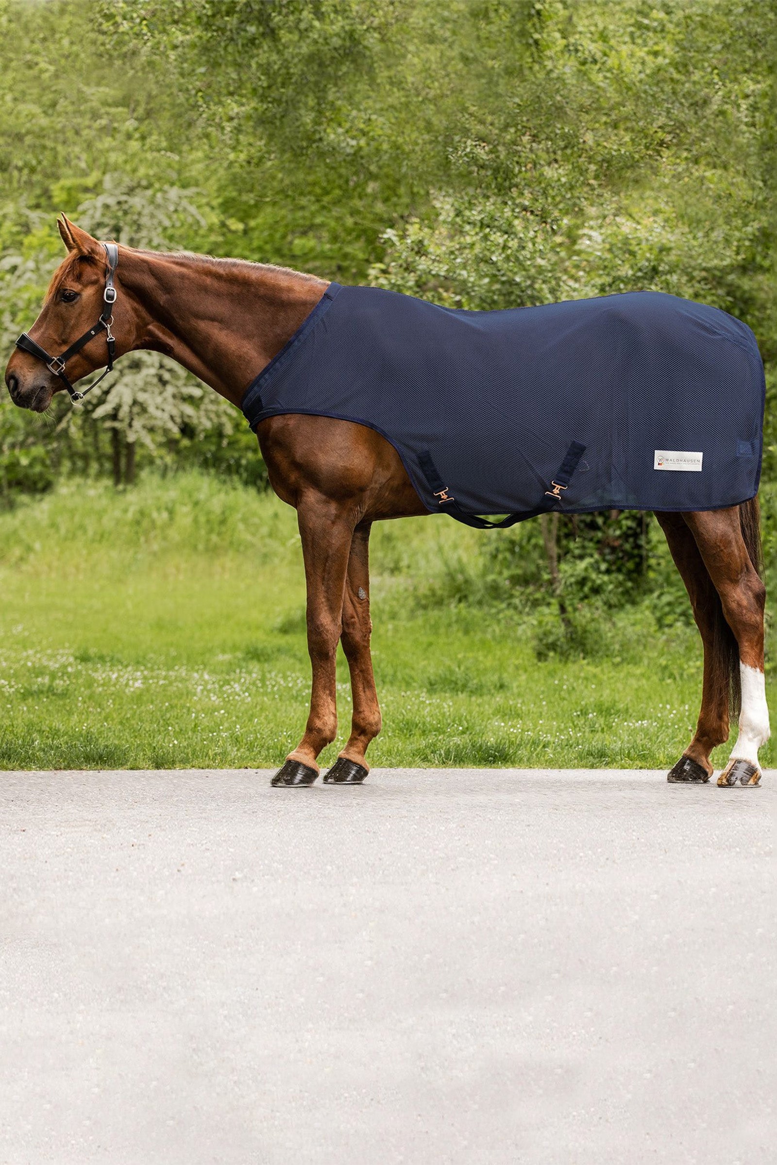 Waldhausen COMFORT Letní plachetní deka pro vedení koní Horse Rugs