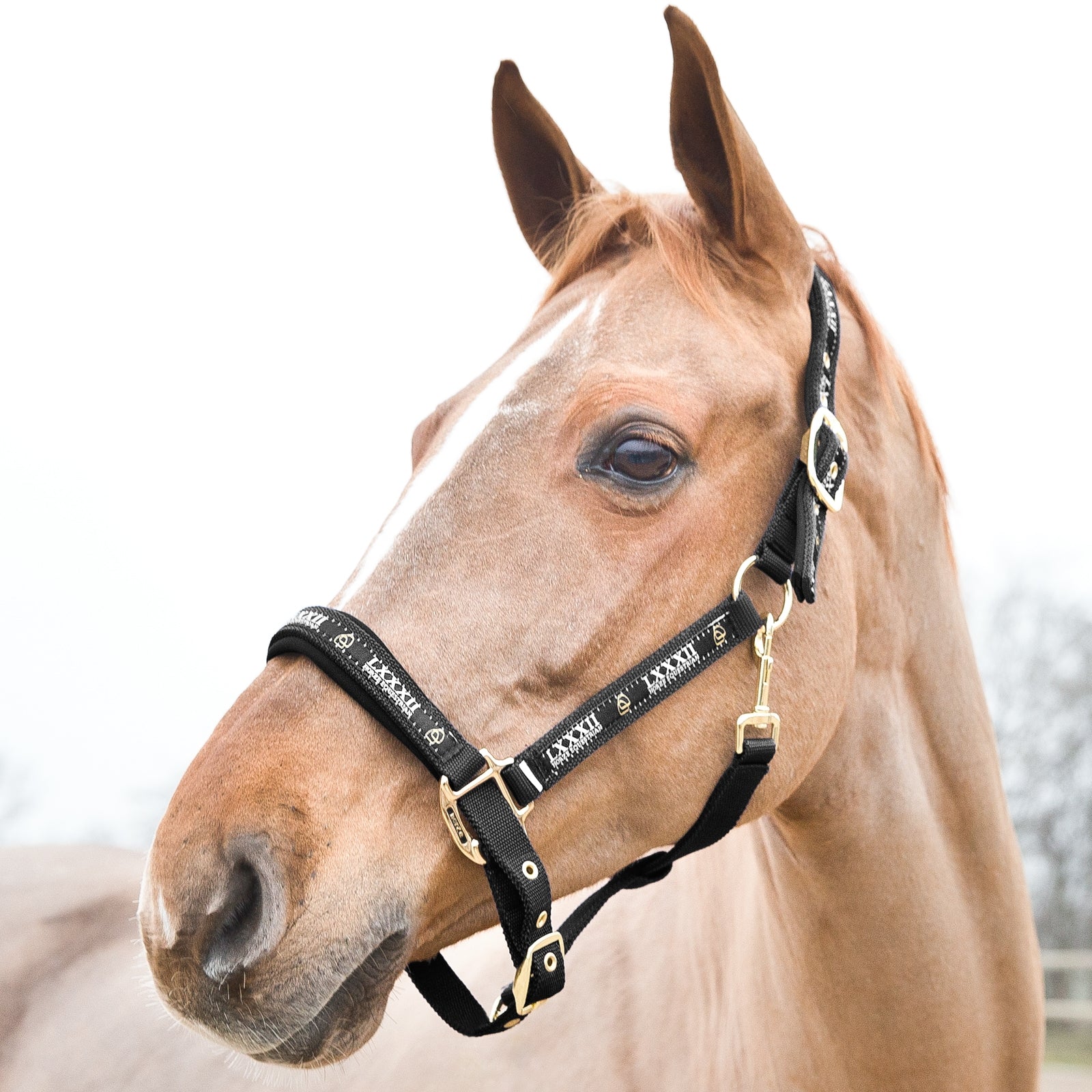 Horze Ohlávka Hamptons Halters & Leads