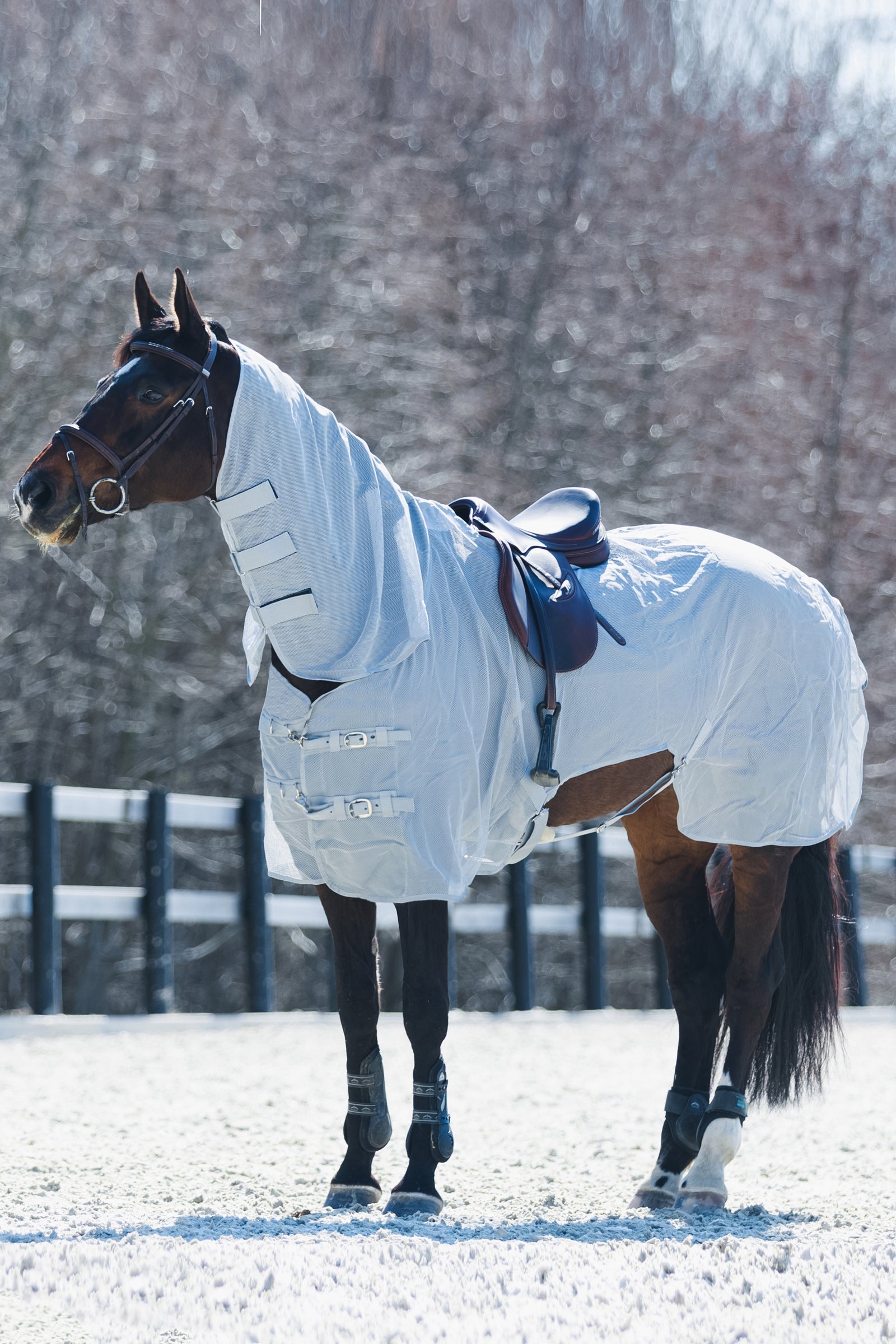 Horze Orleans Fly Riding Rug Horse Rugs