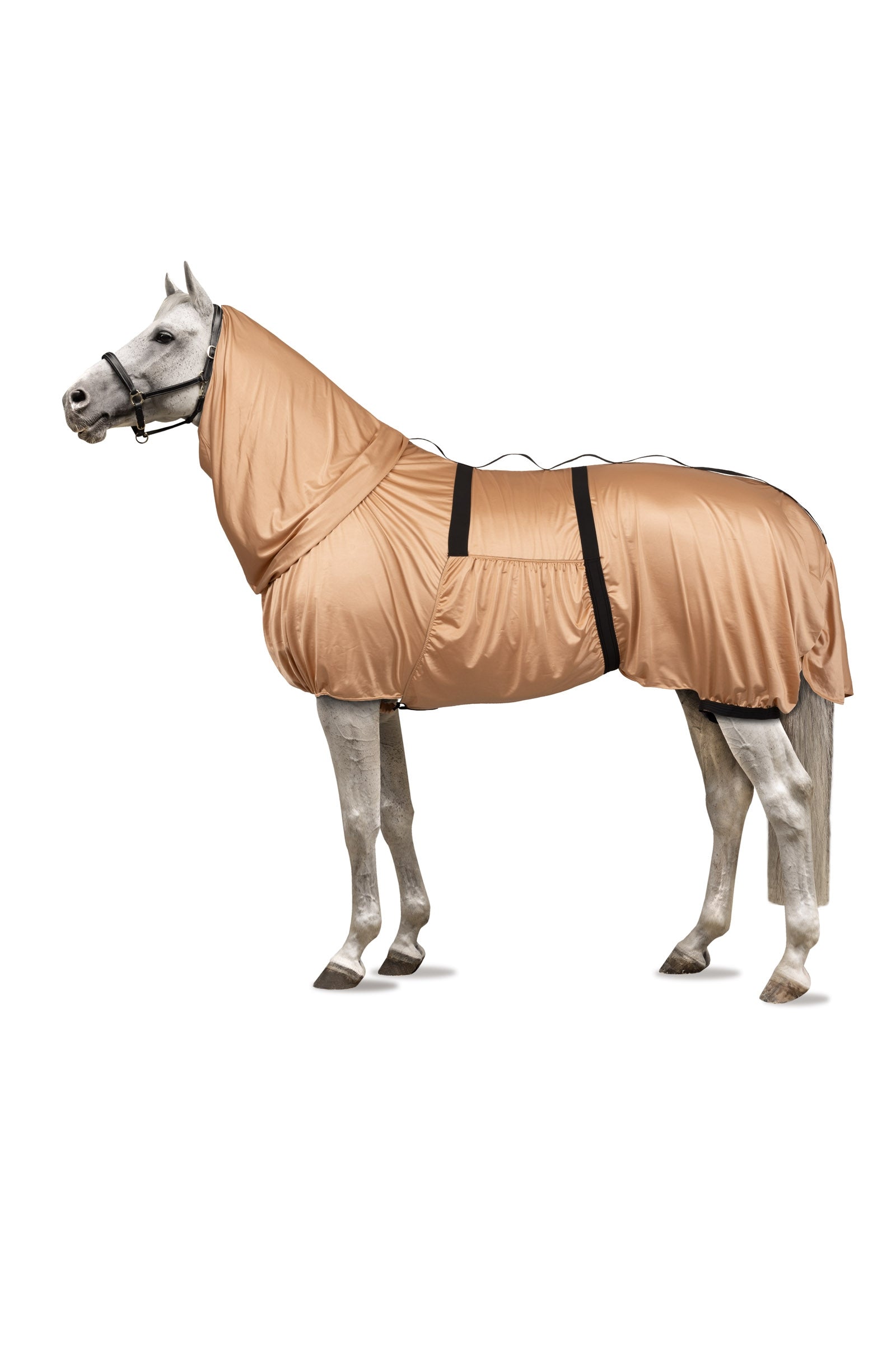 Horze Cover UV Koberec na ekzém s klopou na krk a břicho Horse Rugs