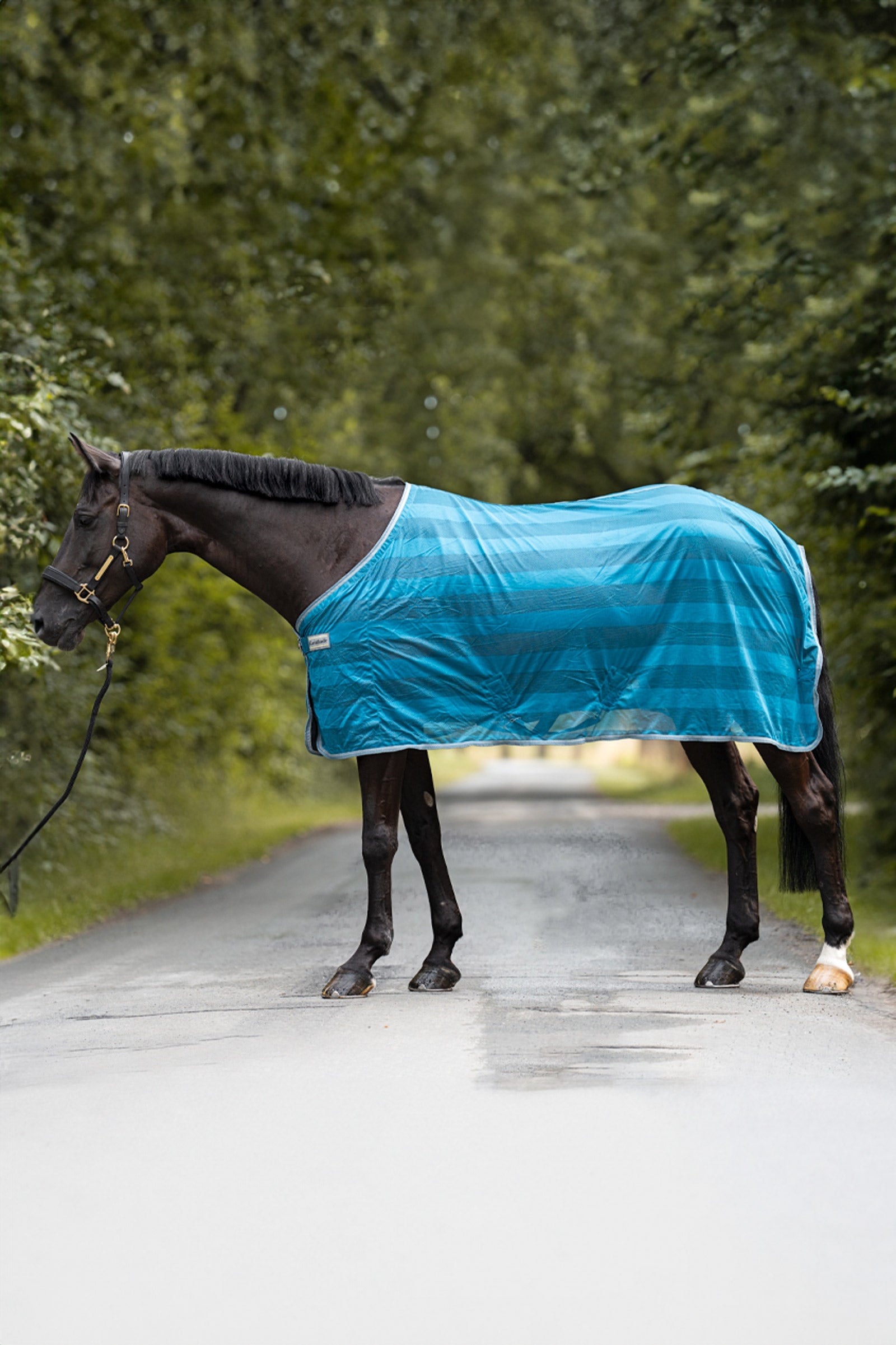 Kavalkade Stripe odpocovací deka proti hmyzu Horse Rugs