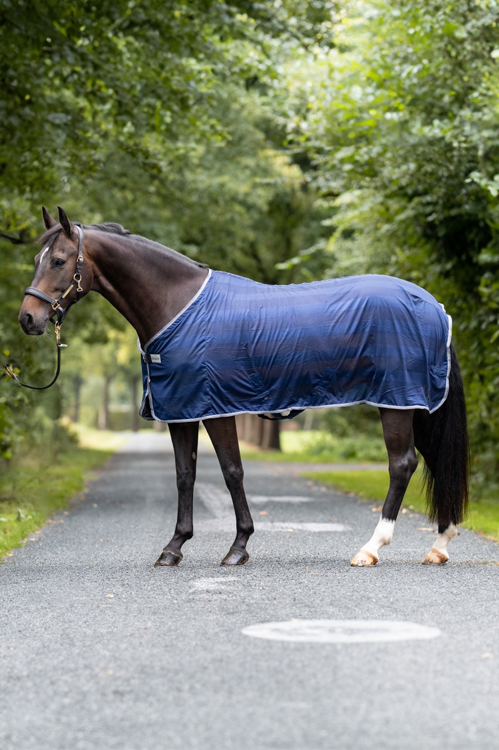 Kavalkade Stripe odpocovací deka proti hmyzu Horse Rugs