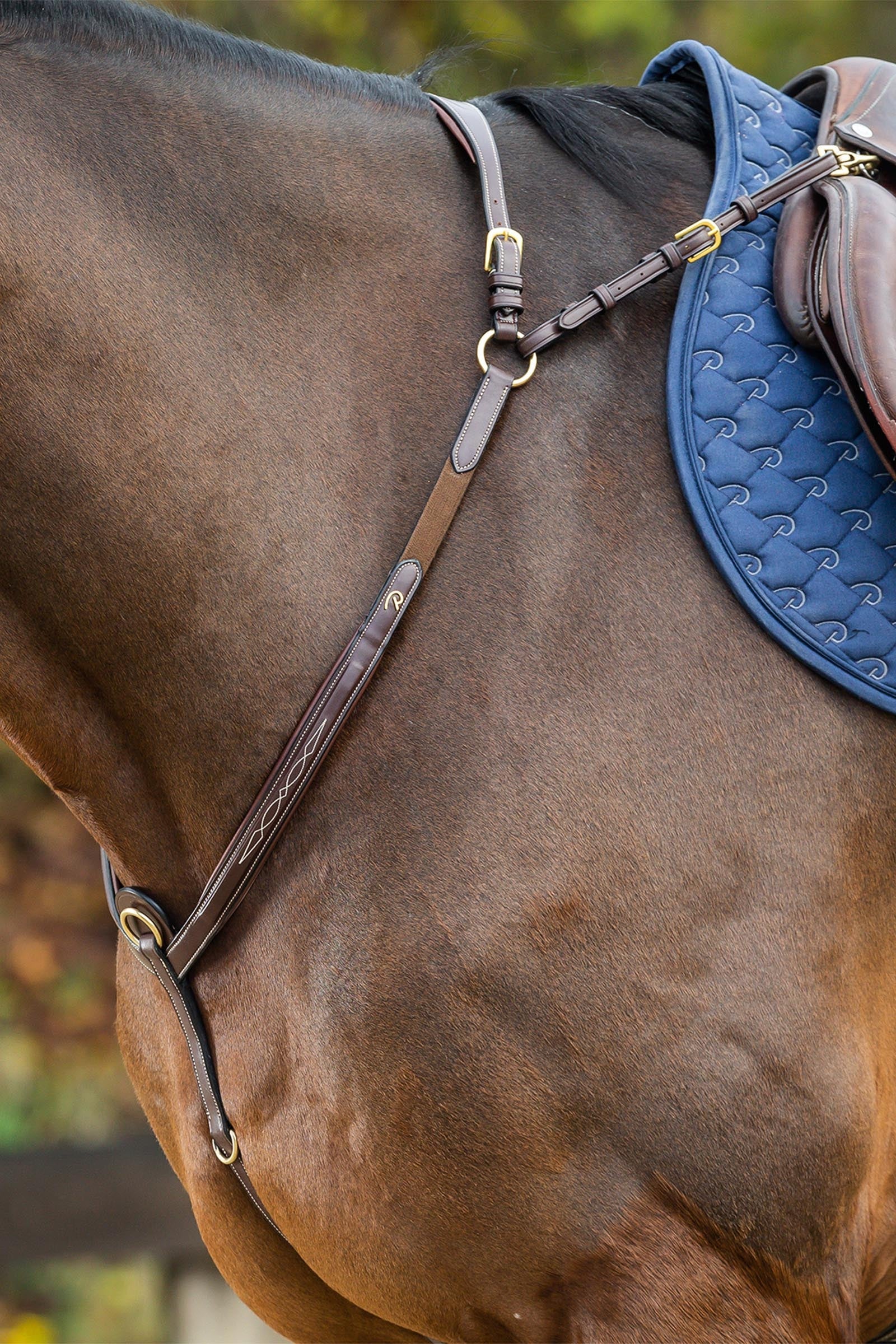 Dy'on D Collection prsní postroj s mostem Bridles & Reins