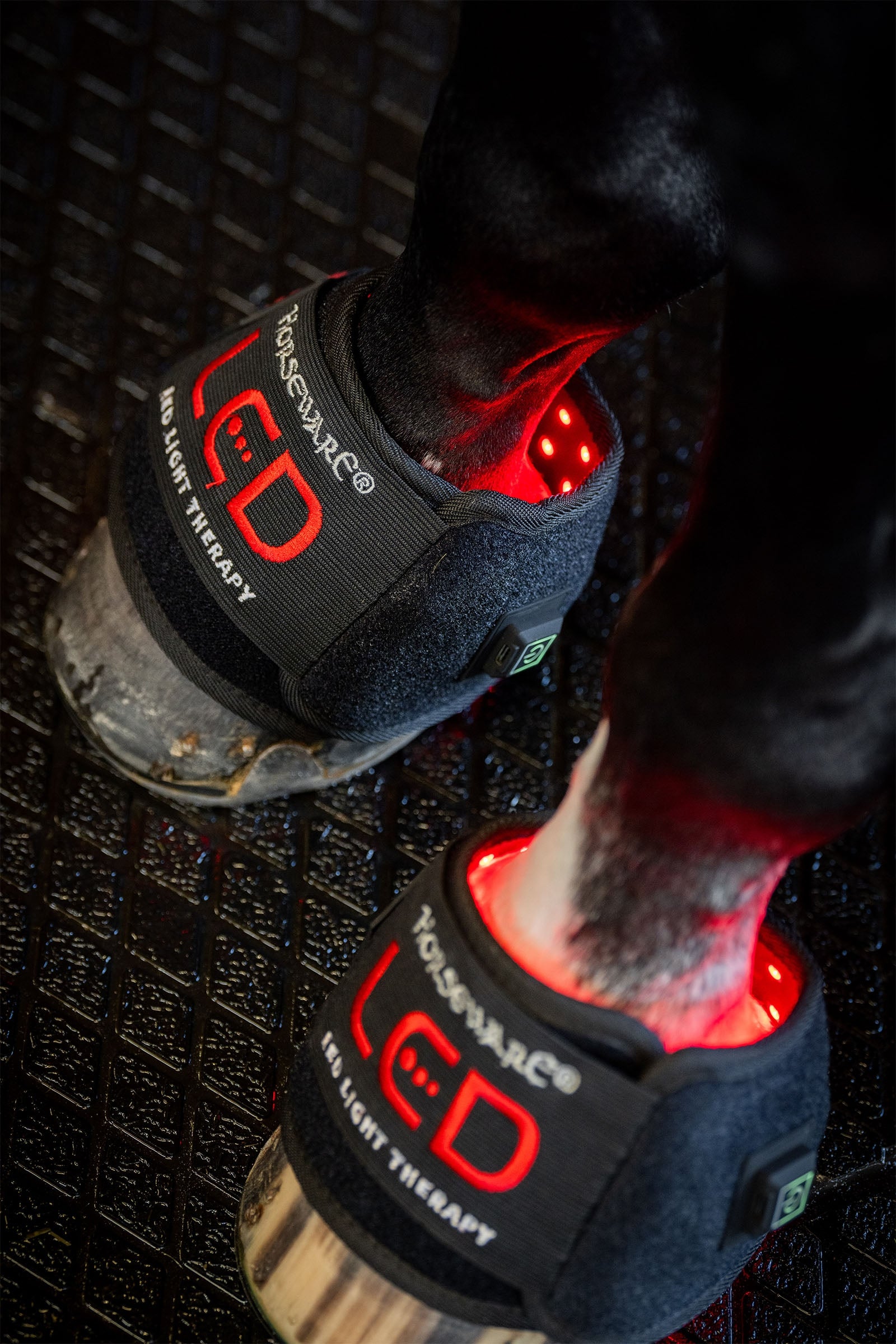 Horseware LED červený terapeutický mini chránič na nohu (1 ks) Leg Protection & Hoof Protection for Horses