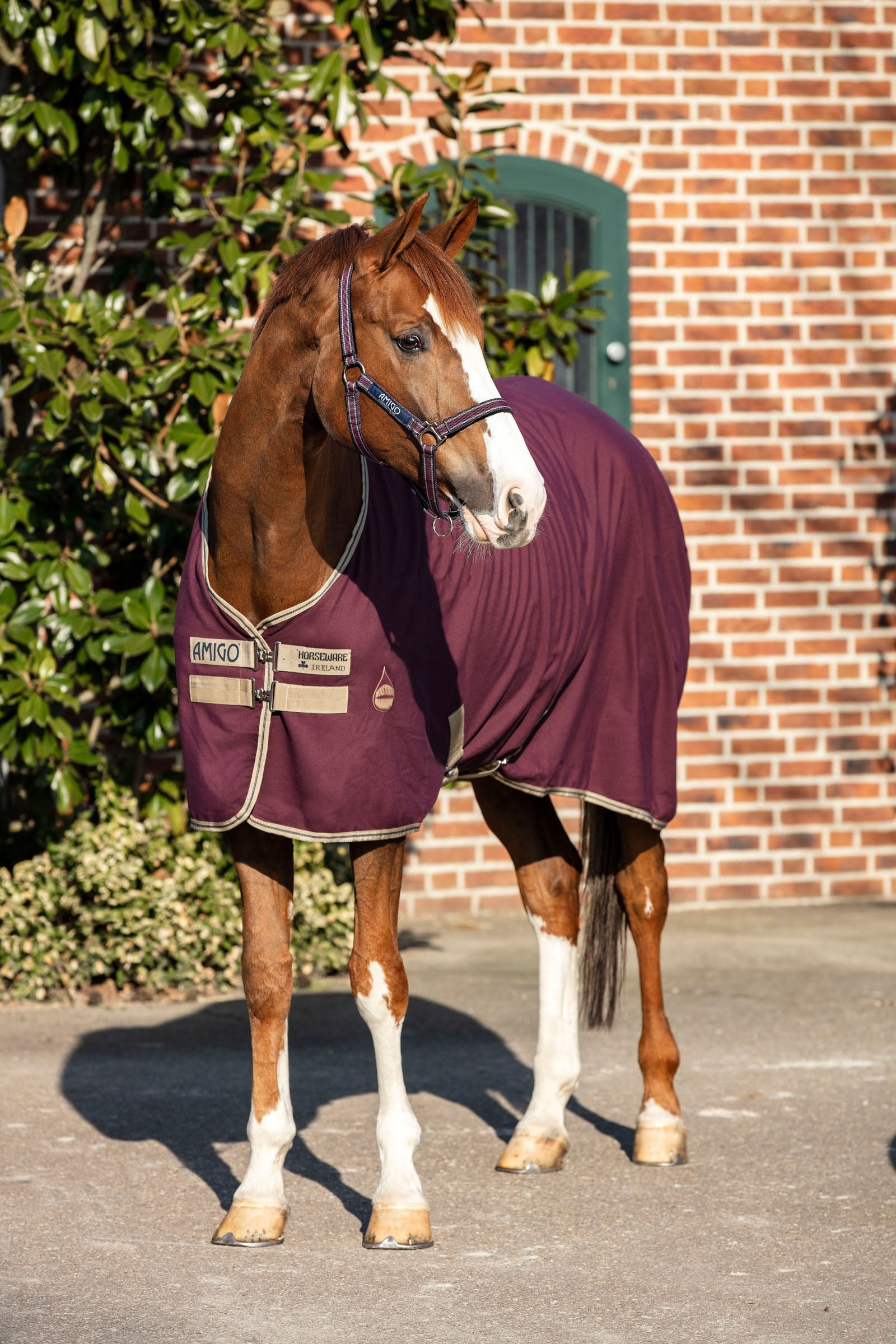 Horseware Amigo Stájový koberec, 0g Horse Rugs