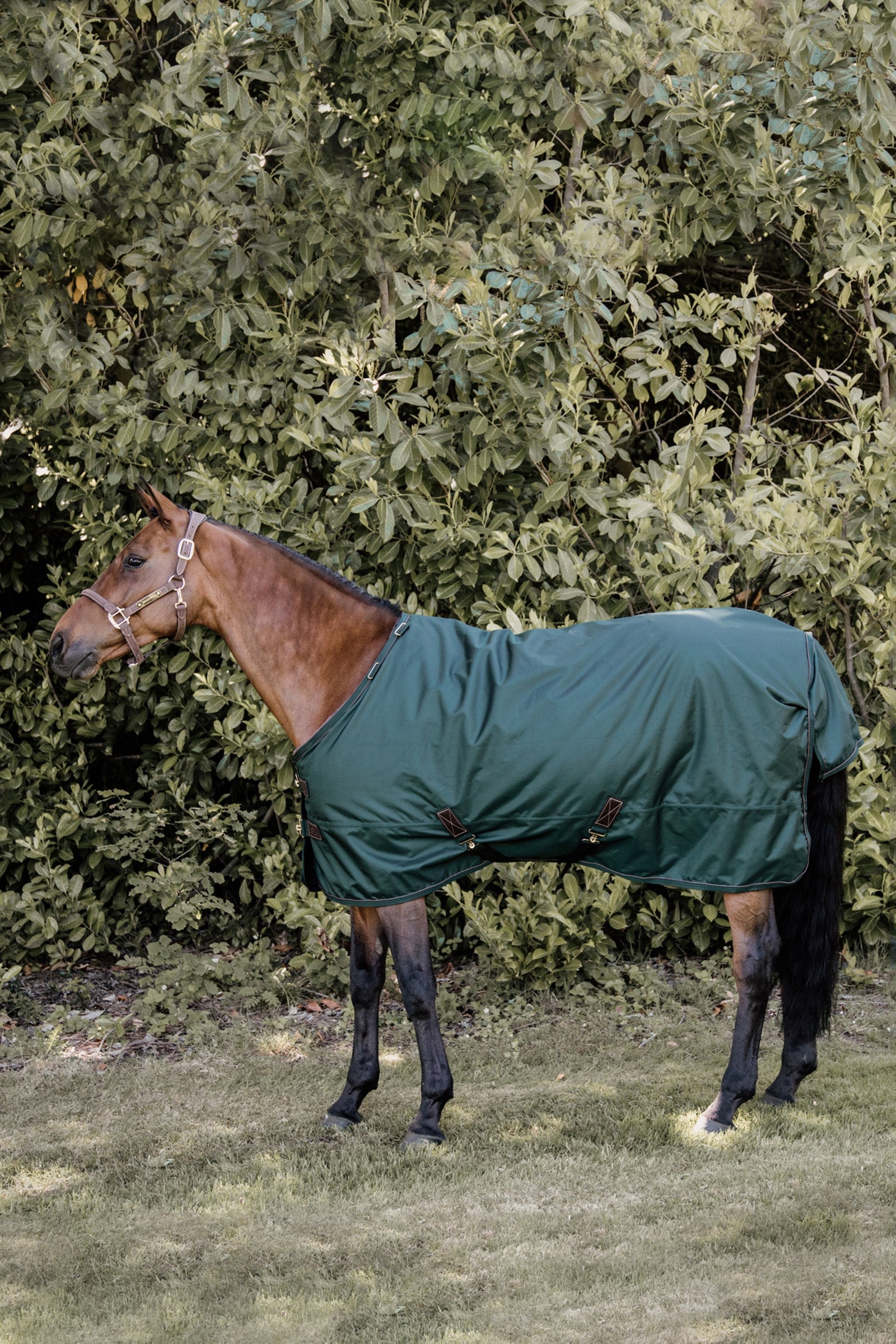 Kentucky Horsewear výběhová deka pro všechna počasí, voděodolná, 160 g Horse Rugs