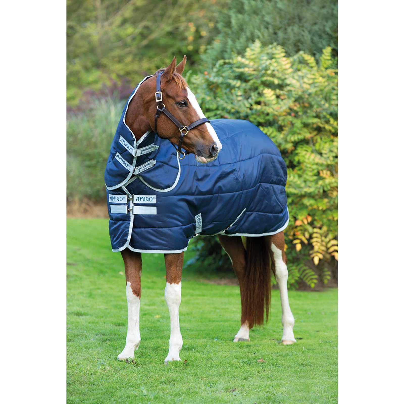 Horseware Amigo Insulator Plus Stájový deka s odnímatelným nákrčníkem, 200g Horse Rugs