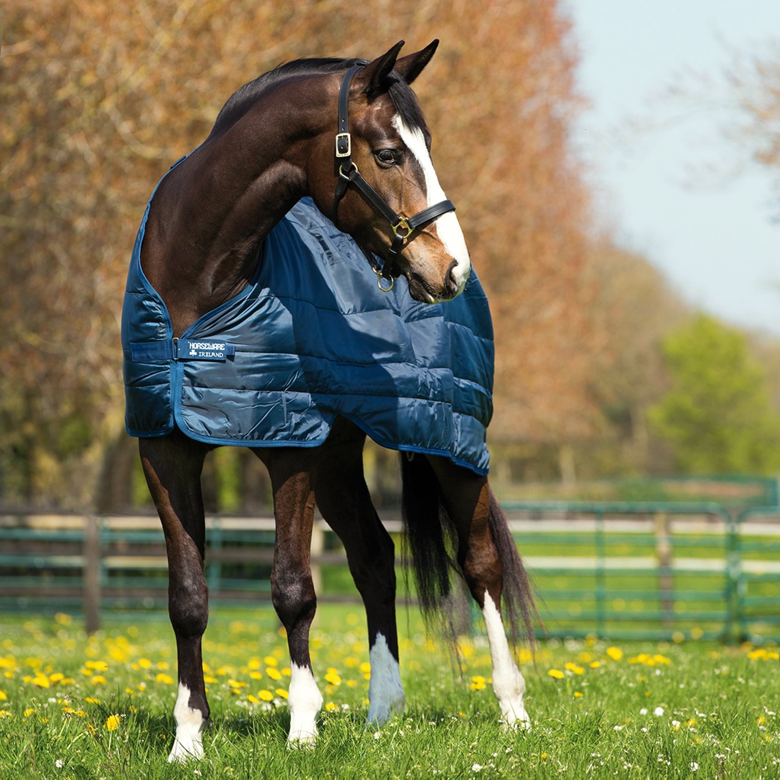 Horseware podšívková deka 300 g Horse Rugs