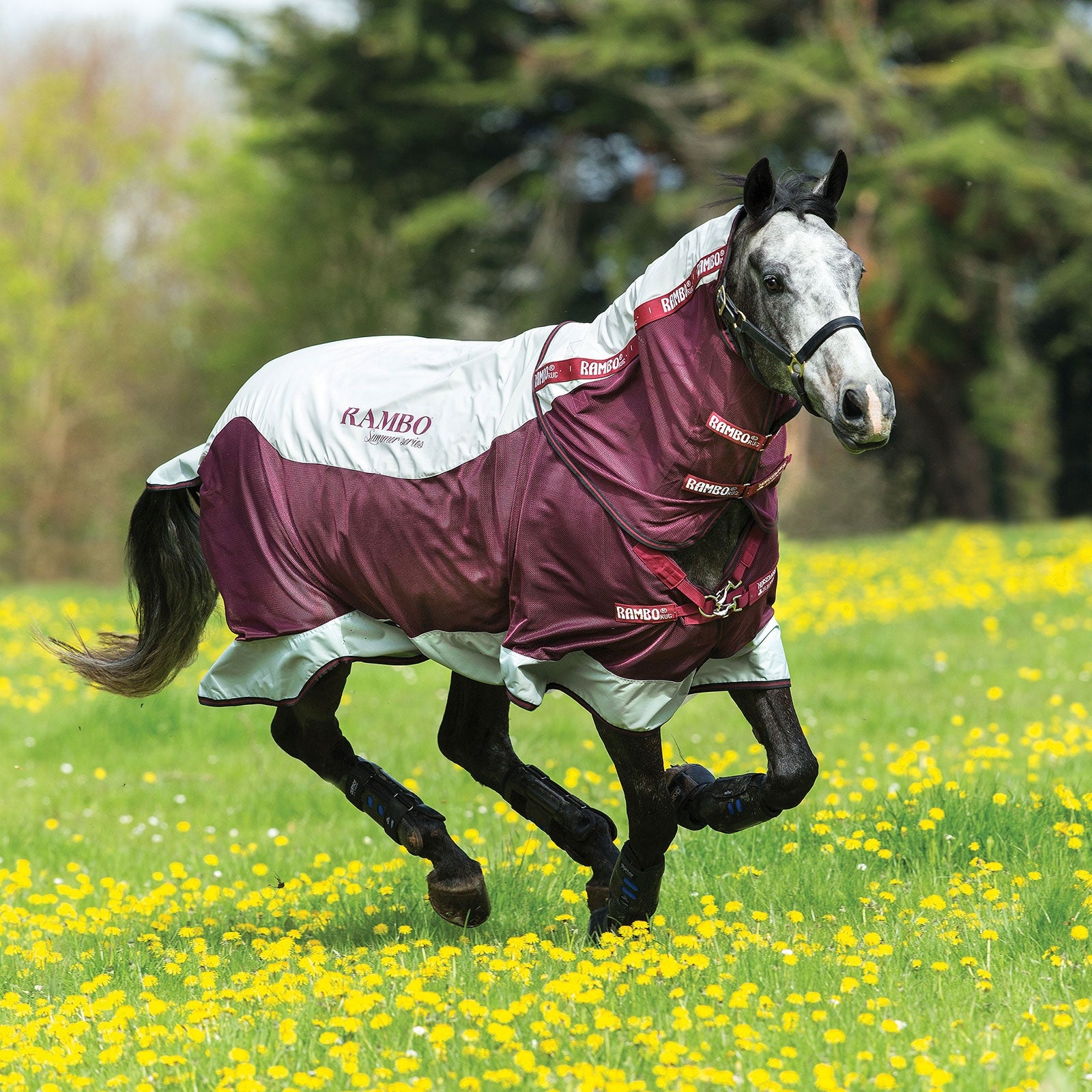 Horseware Rambo Summer Series výběhové deky s podšívkou (0g / 100g) a odnímatelná krční část Horse Rugs