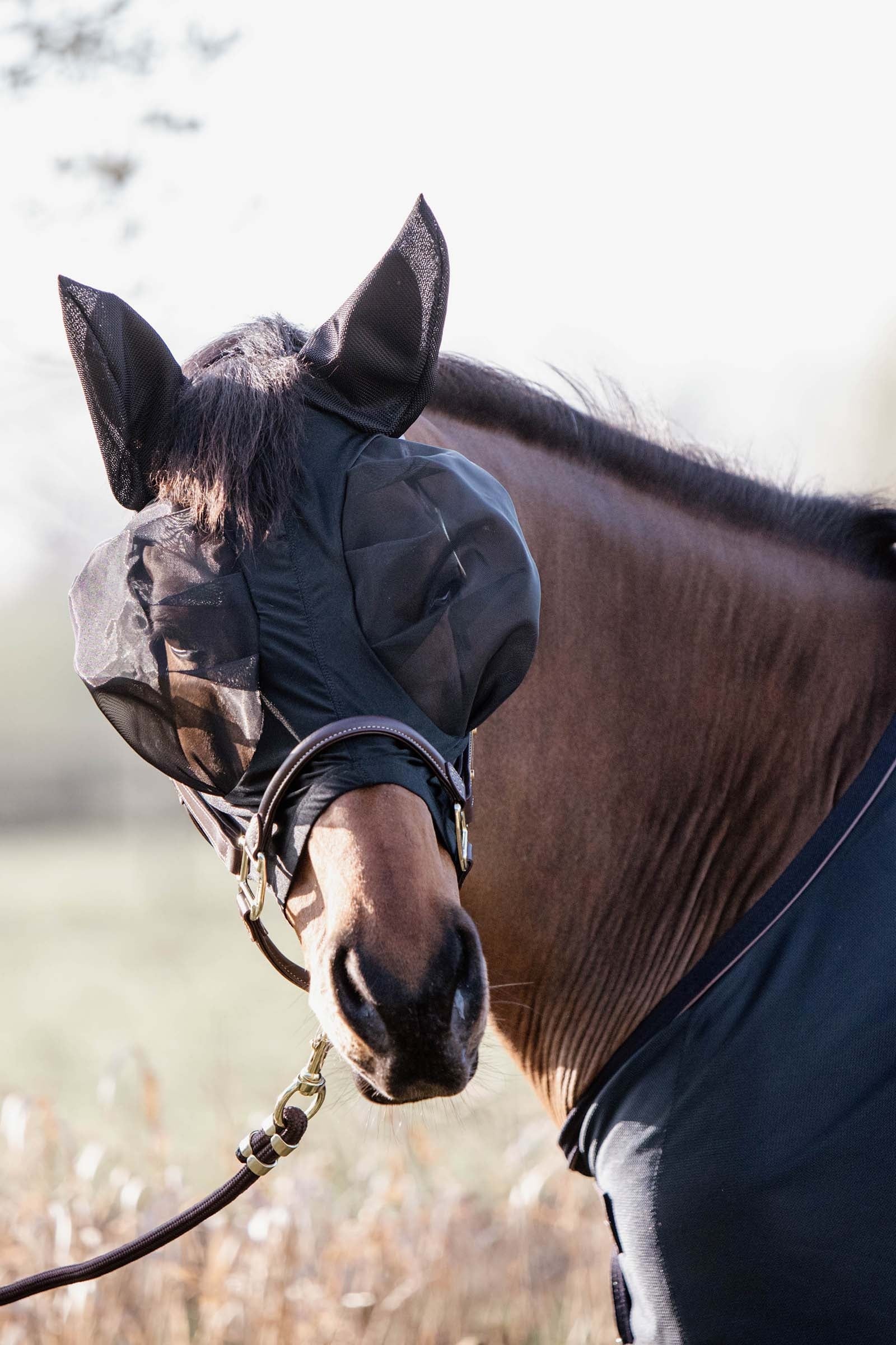 Kentucky Horsewear muchomorka Slim Fit Antifly Protection for Horses