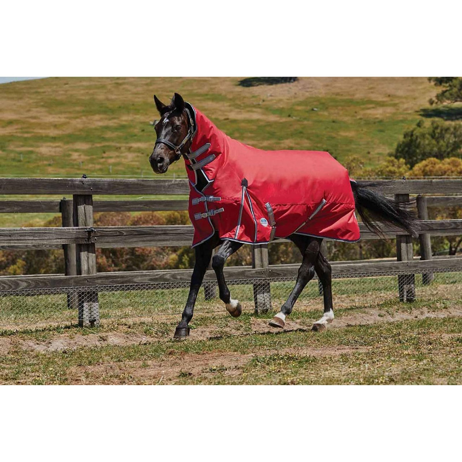 Weatherbeeta Comfitec Classic Turnout Rug s pevným krkem, 300g Horse Rugs