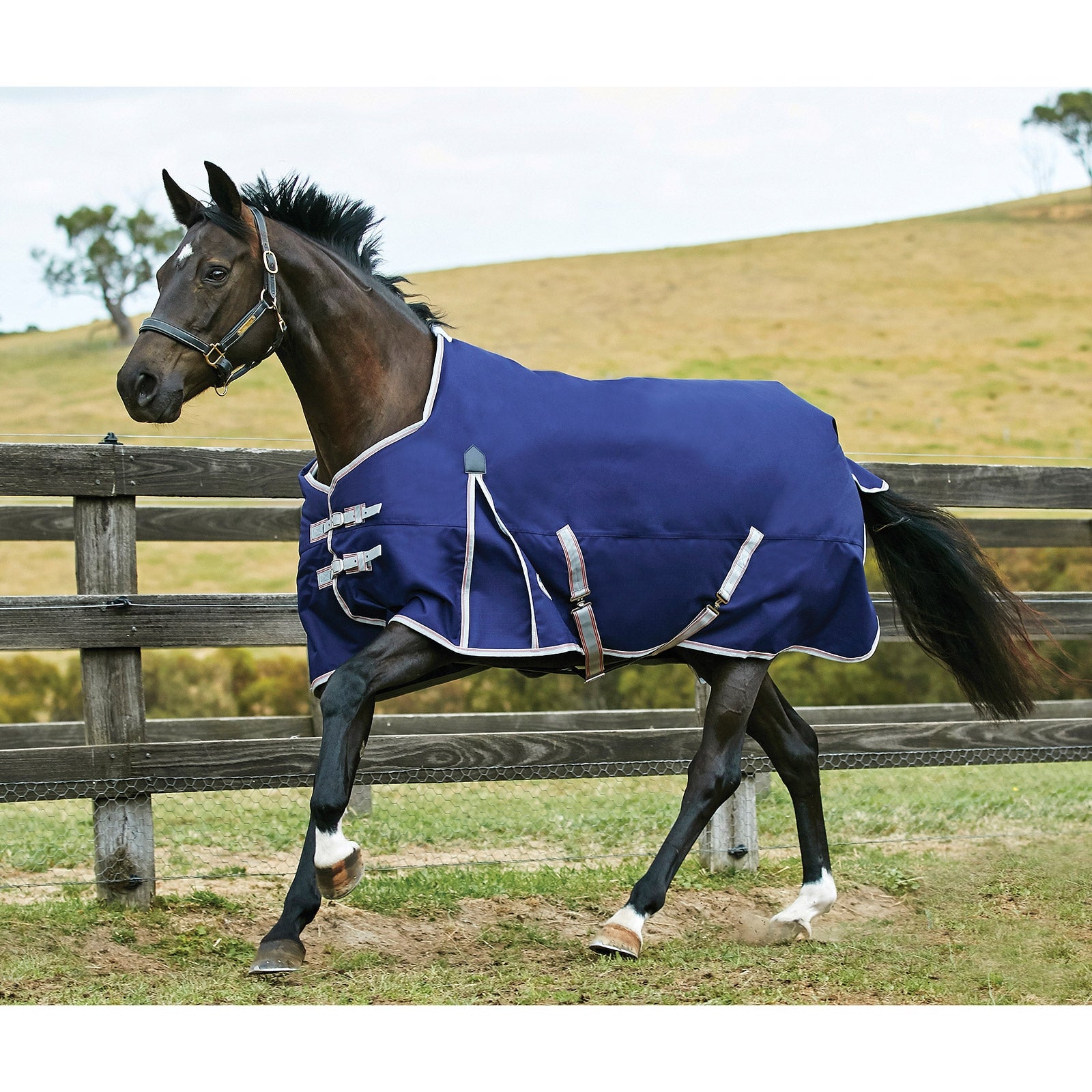 Weatherbeeta Comfitec Essential Turnout Rug, 0g Horse Rugs