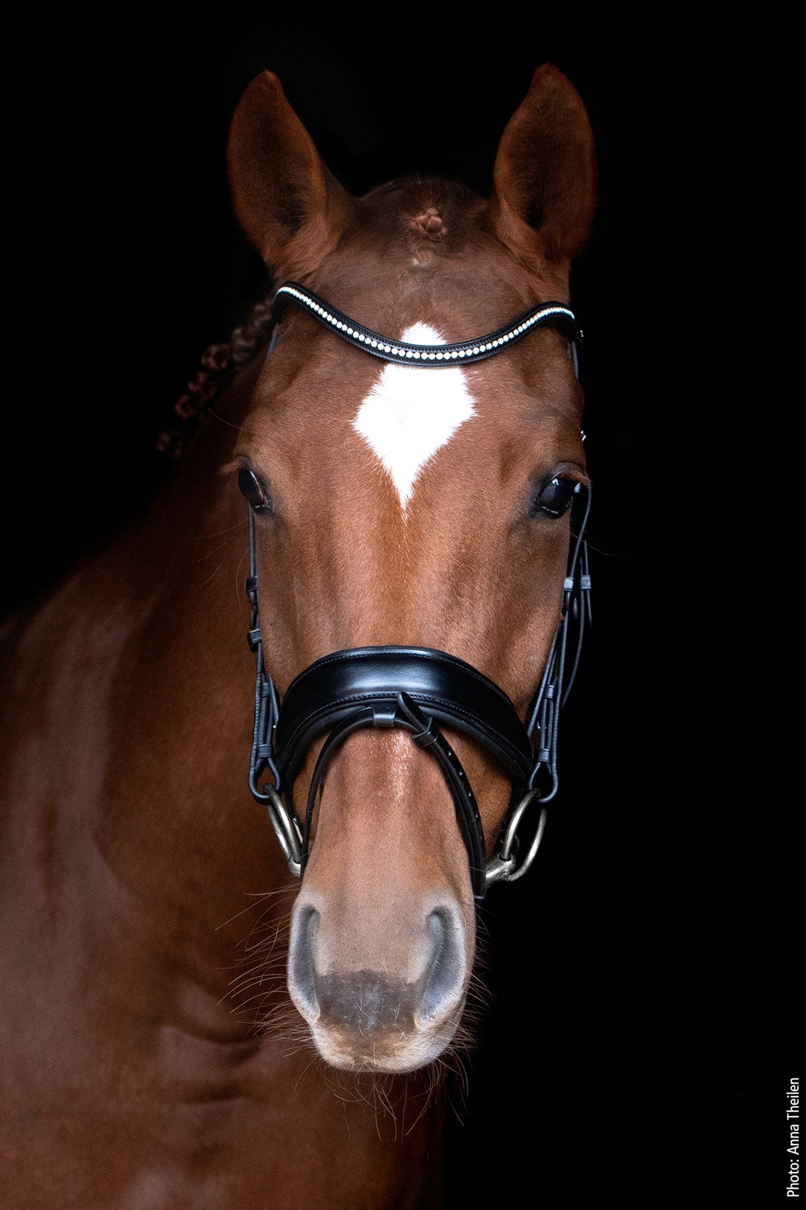 Schockemöhle Sports Stanford anatomická uzdečka Bridles & Reins