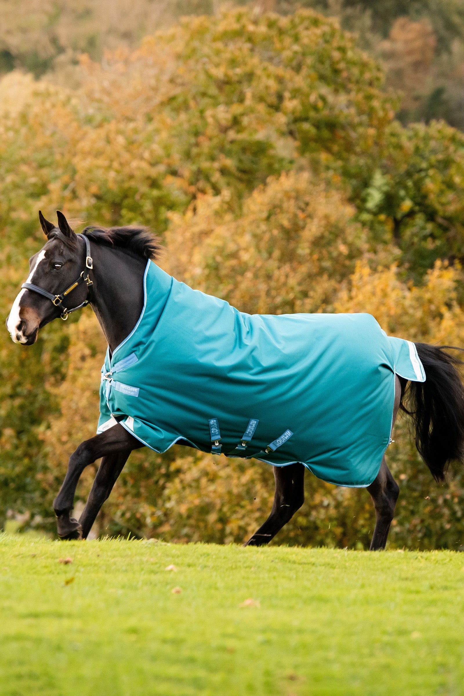 Horseware Amigo Bravo 12 Wug výběhová deka s vysokým krkem, 0 g Horse Rugs