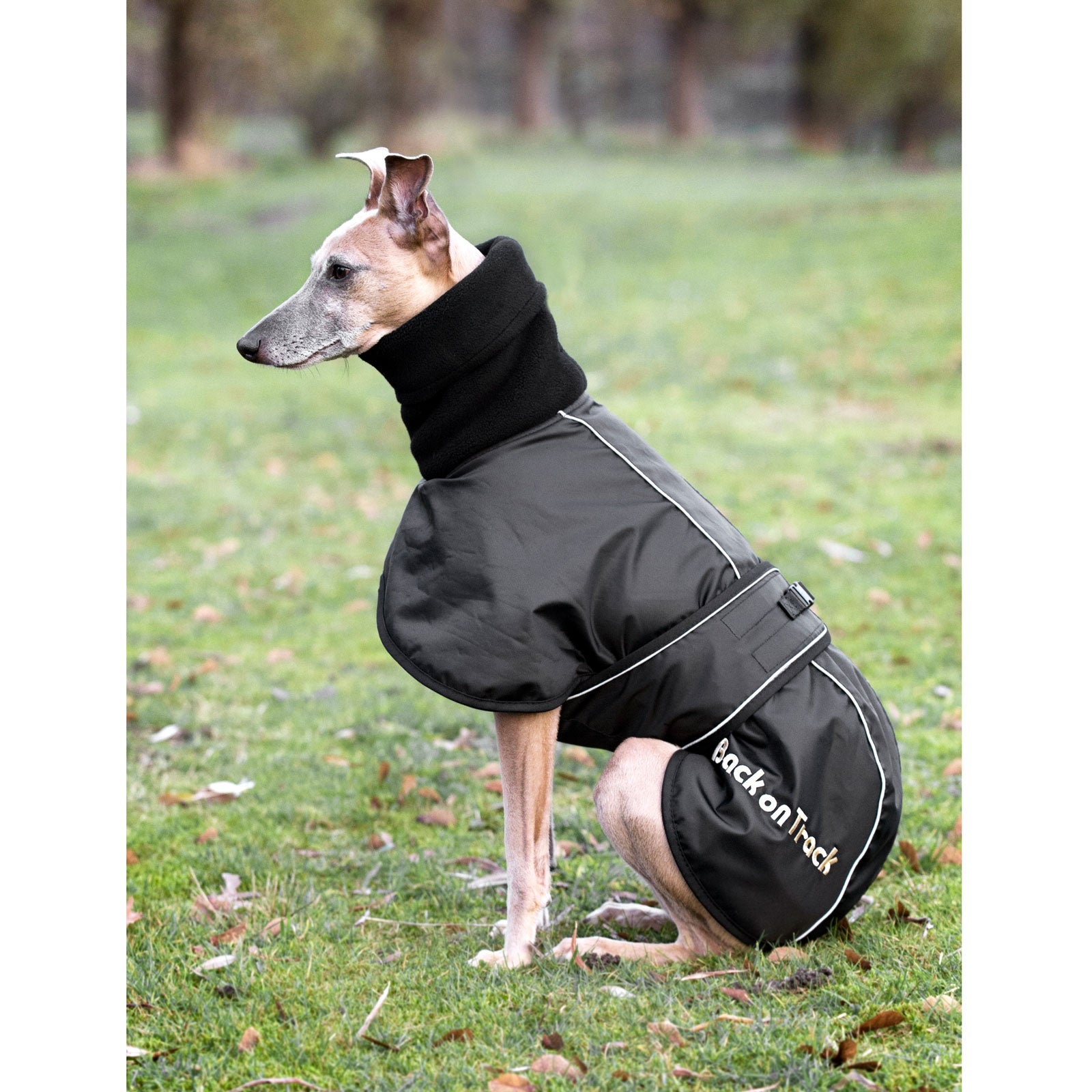 Back on Track Whippet Dog Rug, XS-M Dog Accesories