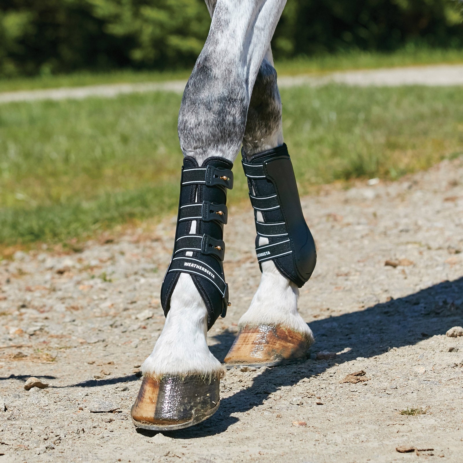 Weatherbeeta Hard Shell Dressage Boots Leg Protection & Hoof Protection for Horses