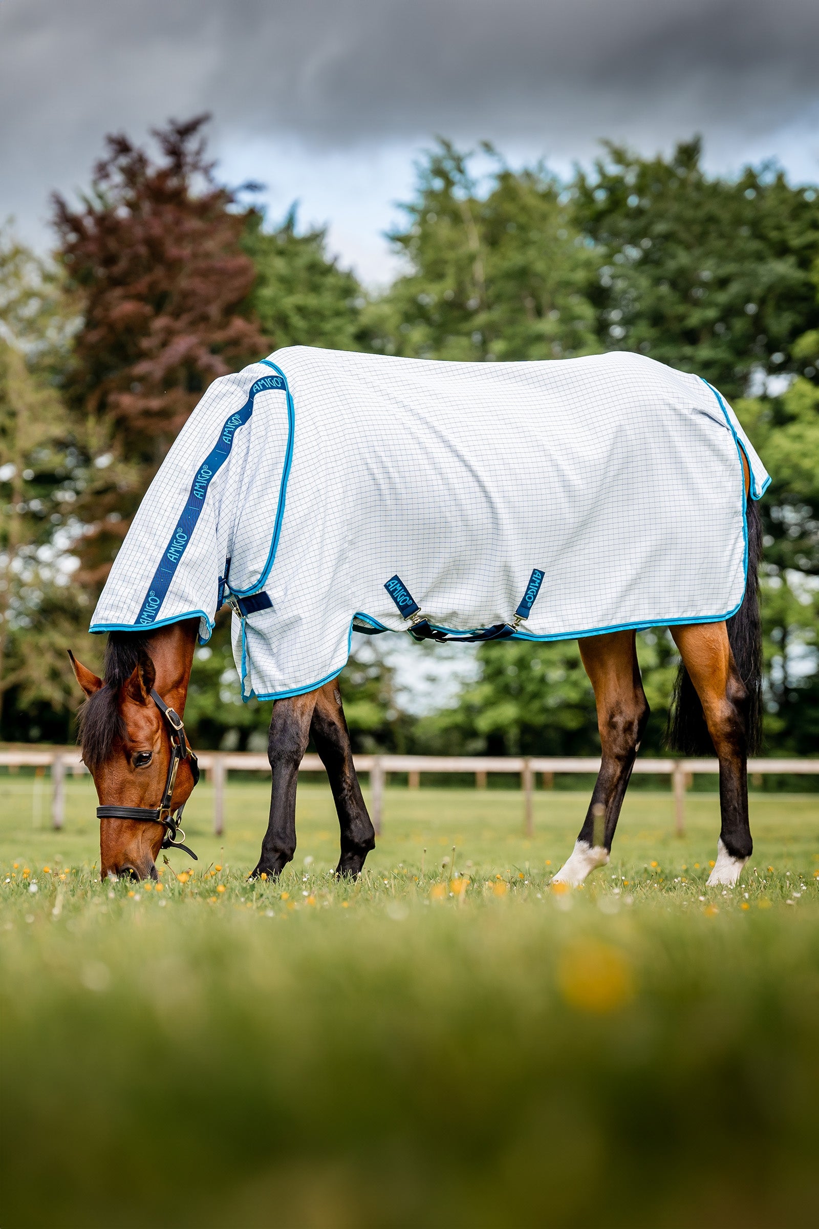 Horseware Amigo Deka proti hmyzu Plus Horse Rugs
