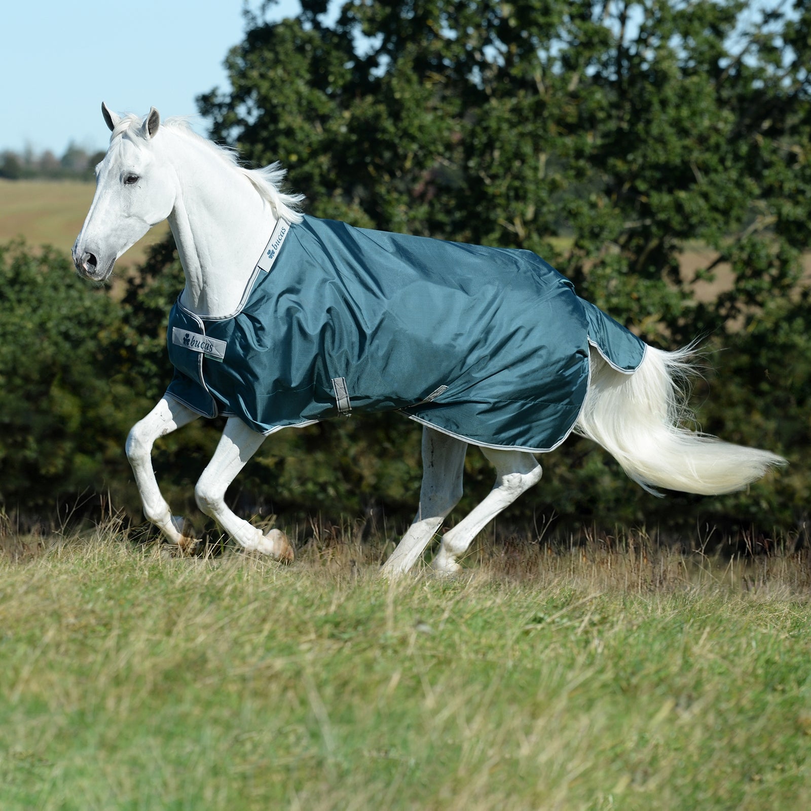 Bucas Atlantic koberec, 50 g Horse Rugs