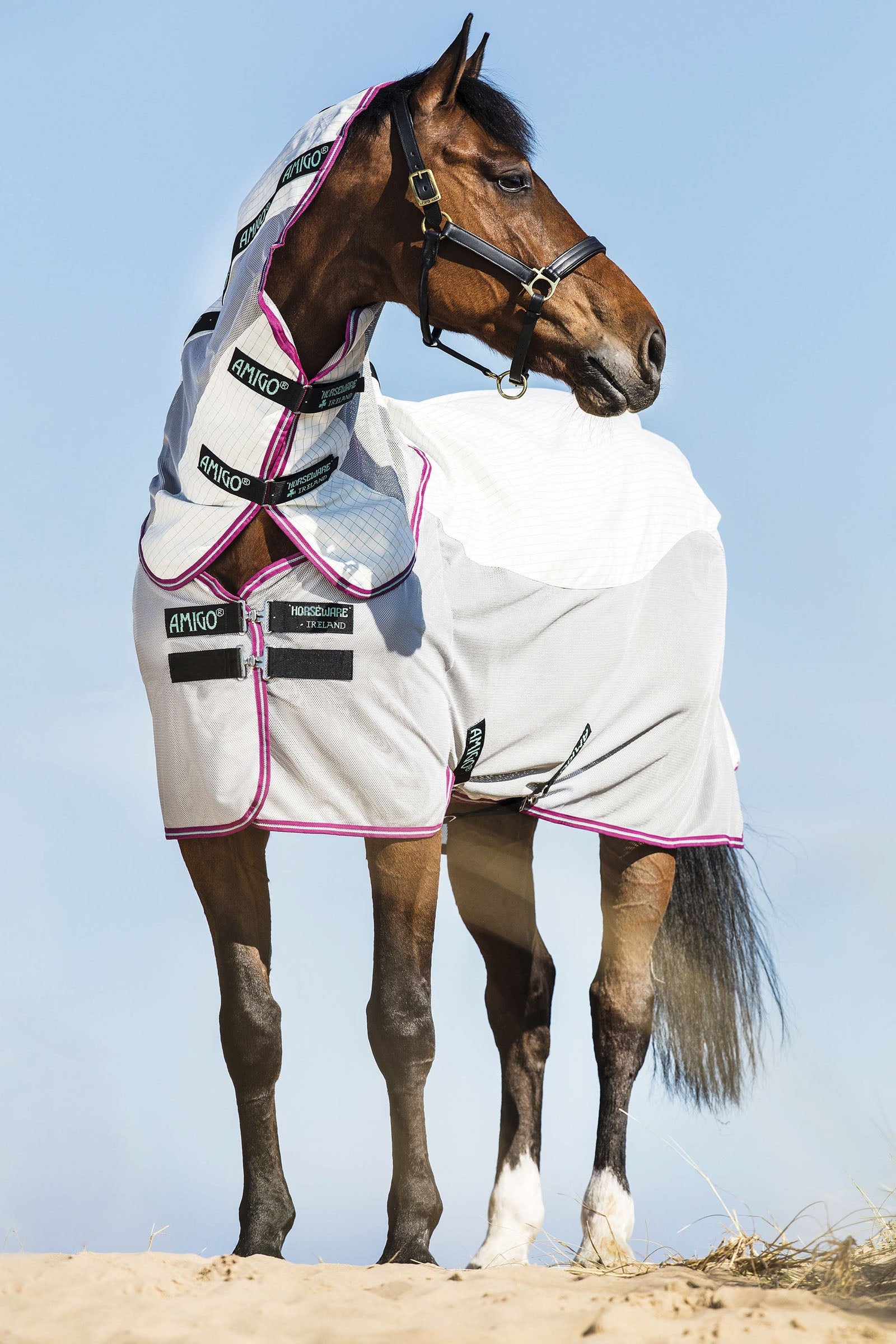 Horseware Amigo Airflow síťovaná deka proti mouchám s odnímatelným krčním dílem Horse Rugs