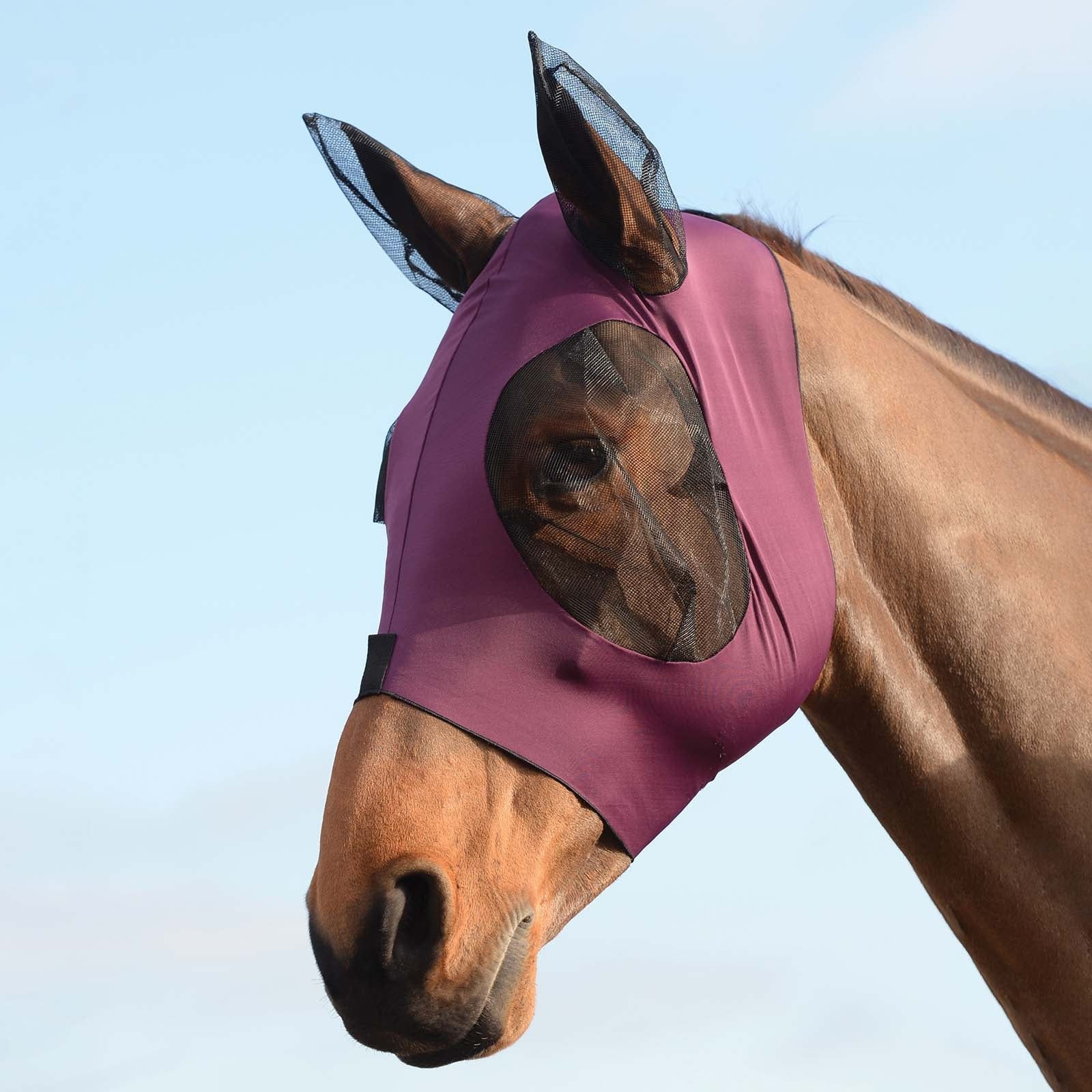 Weatherbeeta Stretch Bug maska proti mouchám s ušima Antifly Protection for Horses