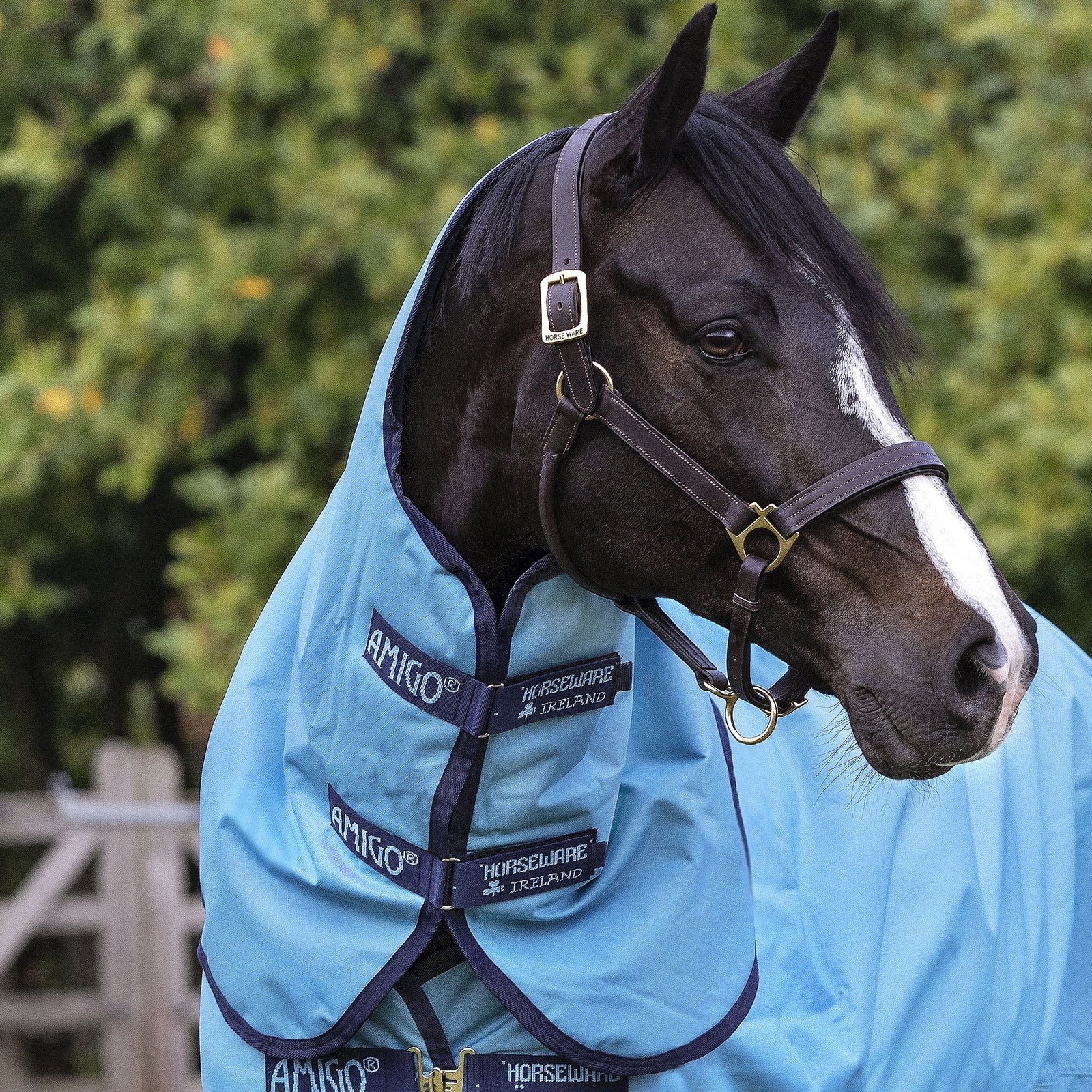 Horseware Amigo Hero Ripstop Hood, 0g Horse Rugs