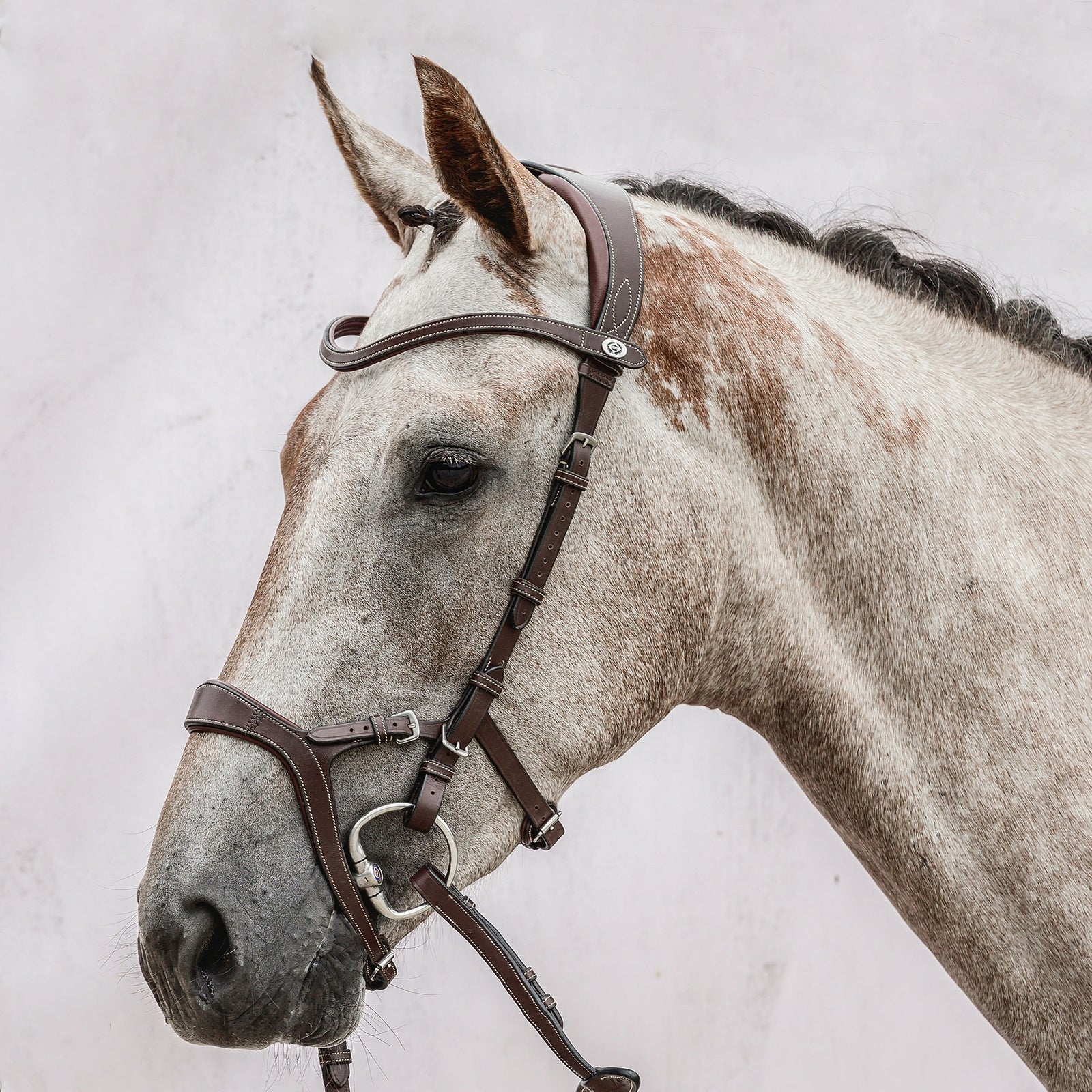 PS of Sweden Nirak uzda Bridles & Reins