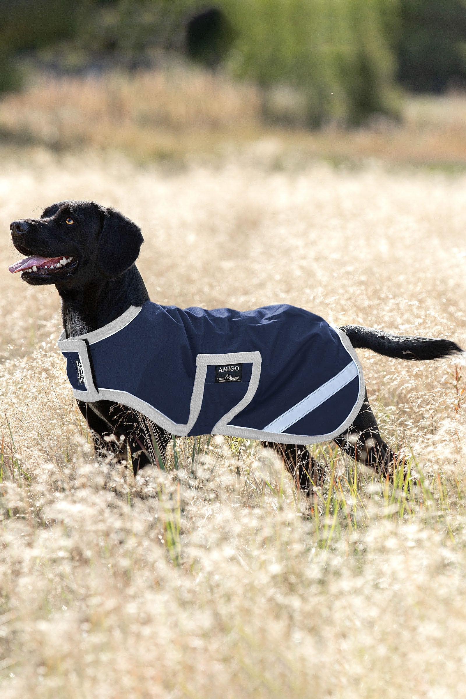 Horseware Amigo Ripstop Dog Rug, 100g Dog Accesories