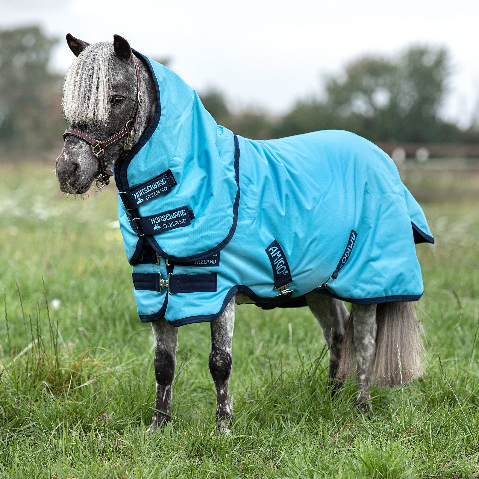 Horseware Amigo Hero 6 Petite Plus Turnout vč. Odnímatelná kapuce, 0g Horse Rugs