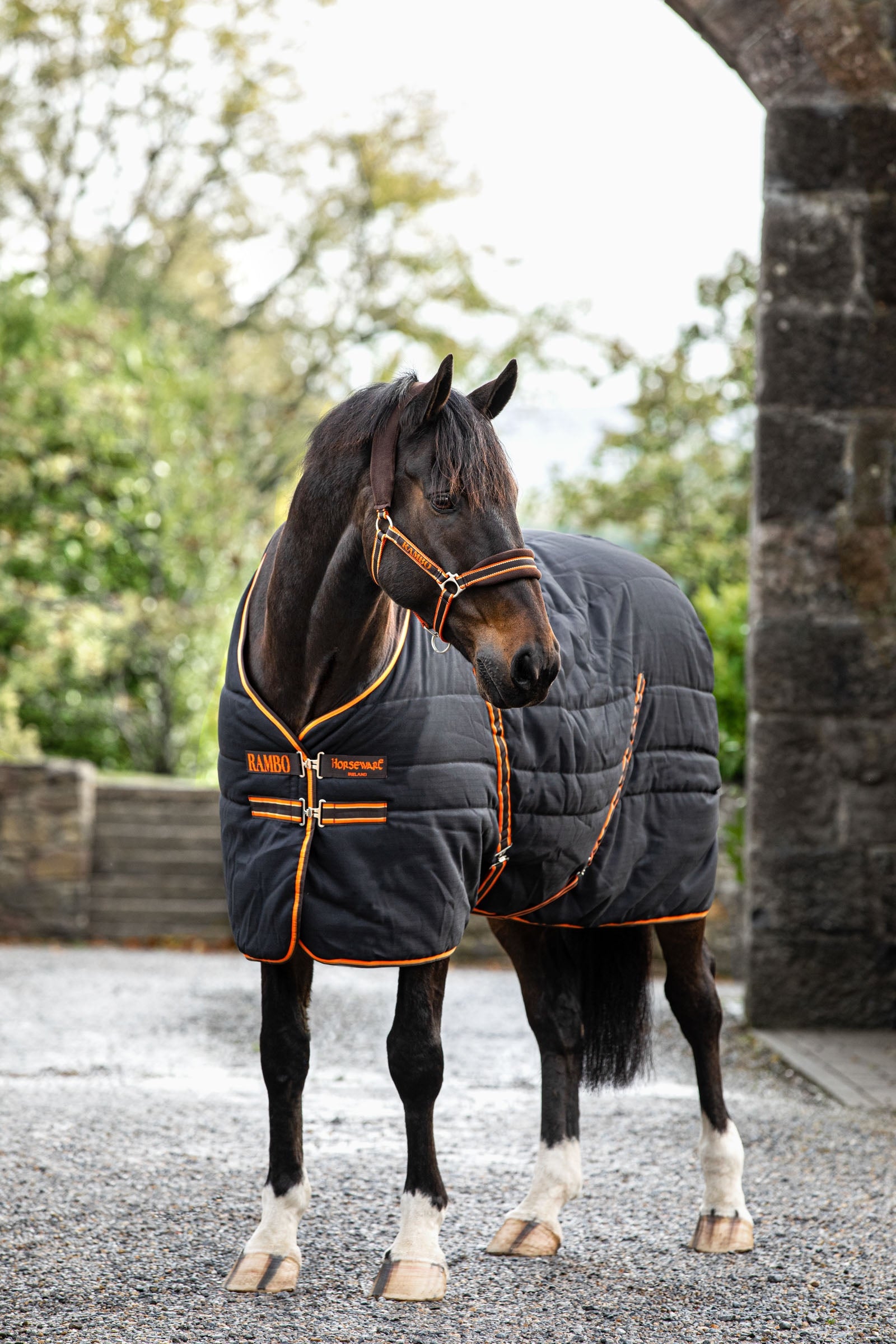 Horseware Koně Rambo Stable 200g Horse Rugs