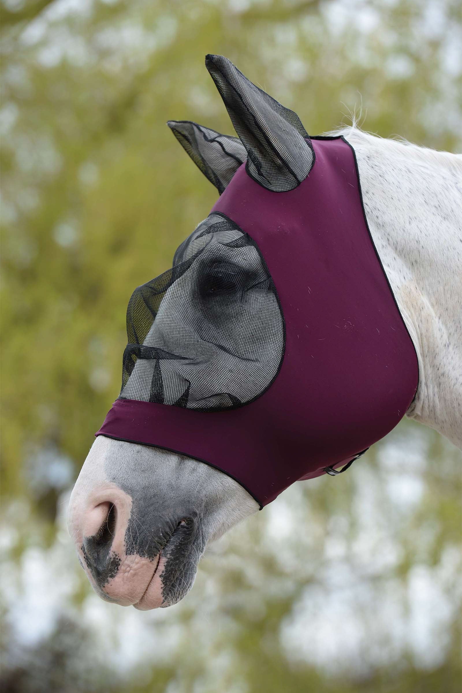 Weatherbeeta Deluxe Stretch Bug Eye Saver with Ears Antifly Protection for Horses