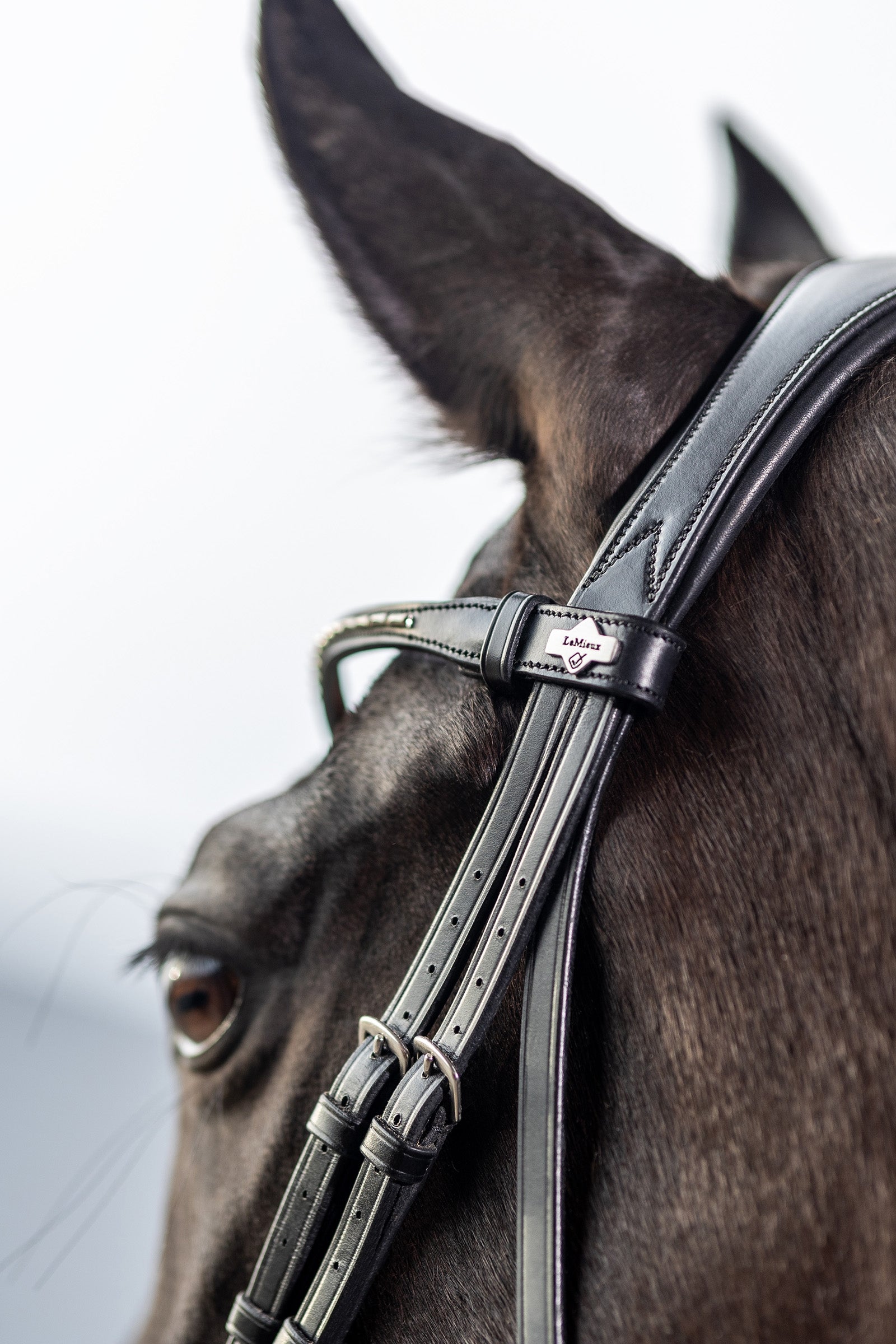 LeMieux Classic Dressage Bridle Bridles & Reins