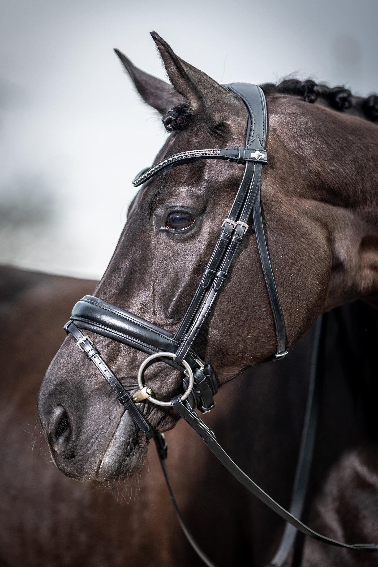 LeMieux Classic Dressage Bridle Bridles & Reins