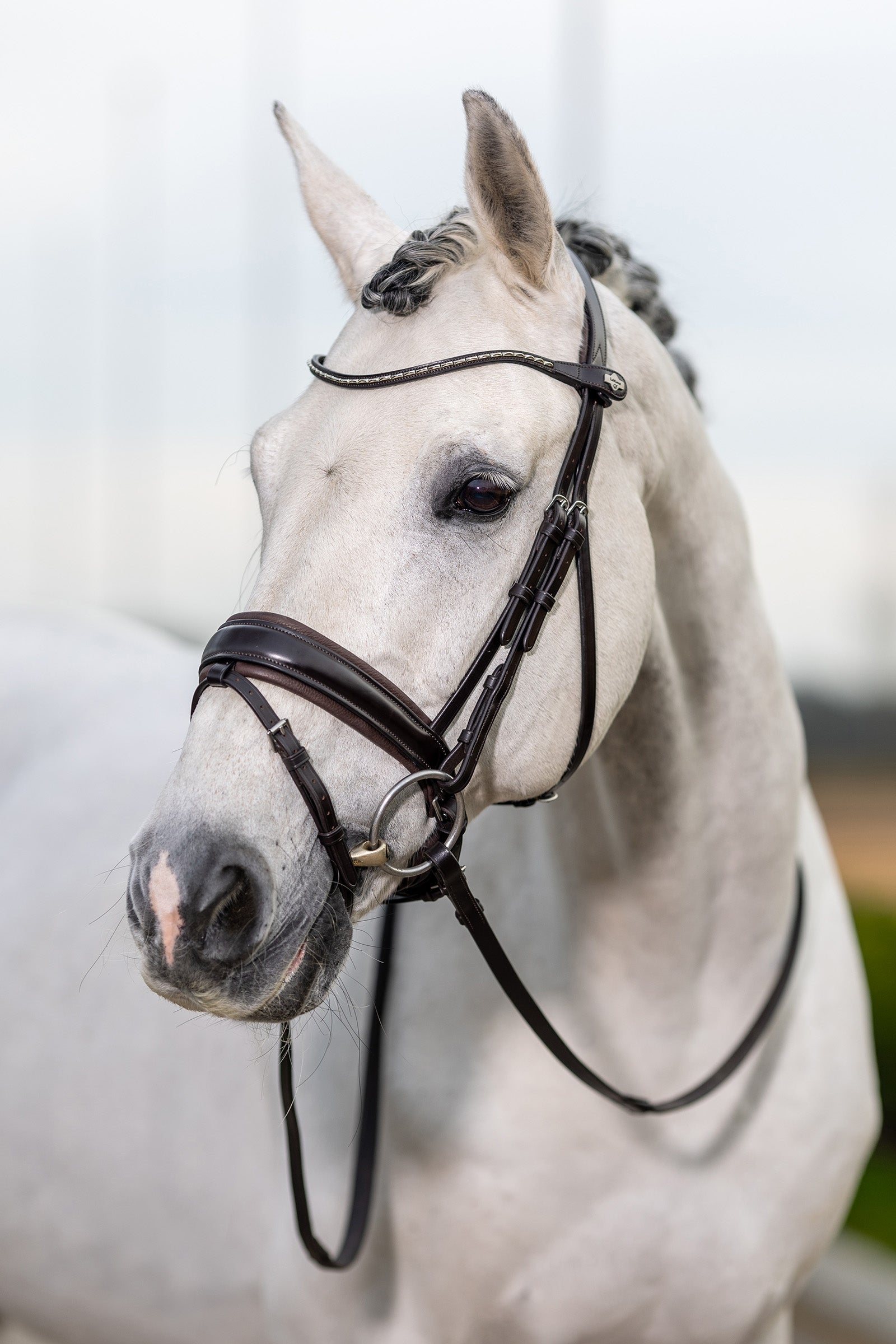 LeMieux Kudos Classic Dressage Bridle Bridles & Reins