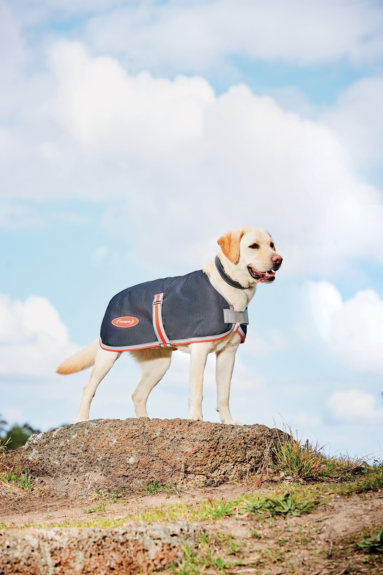 Weatherbeeta Comfitec Therapy-Tec 1200D Dog Coat, 100g Dog Accesories