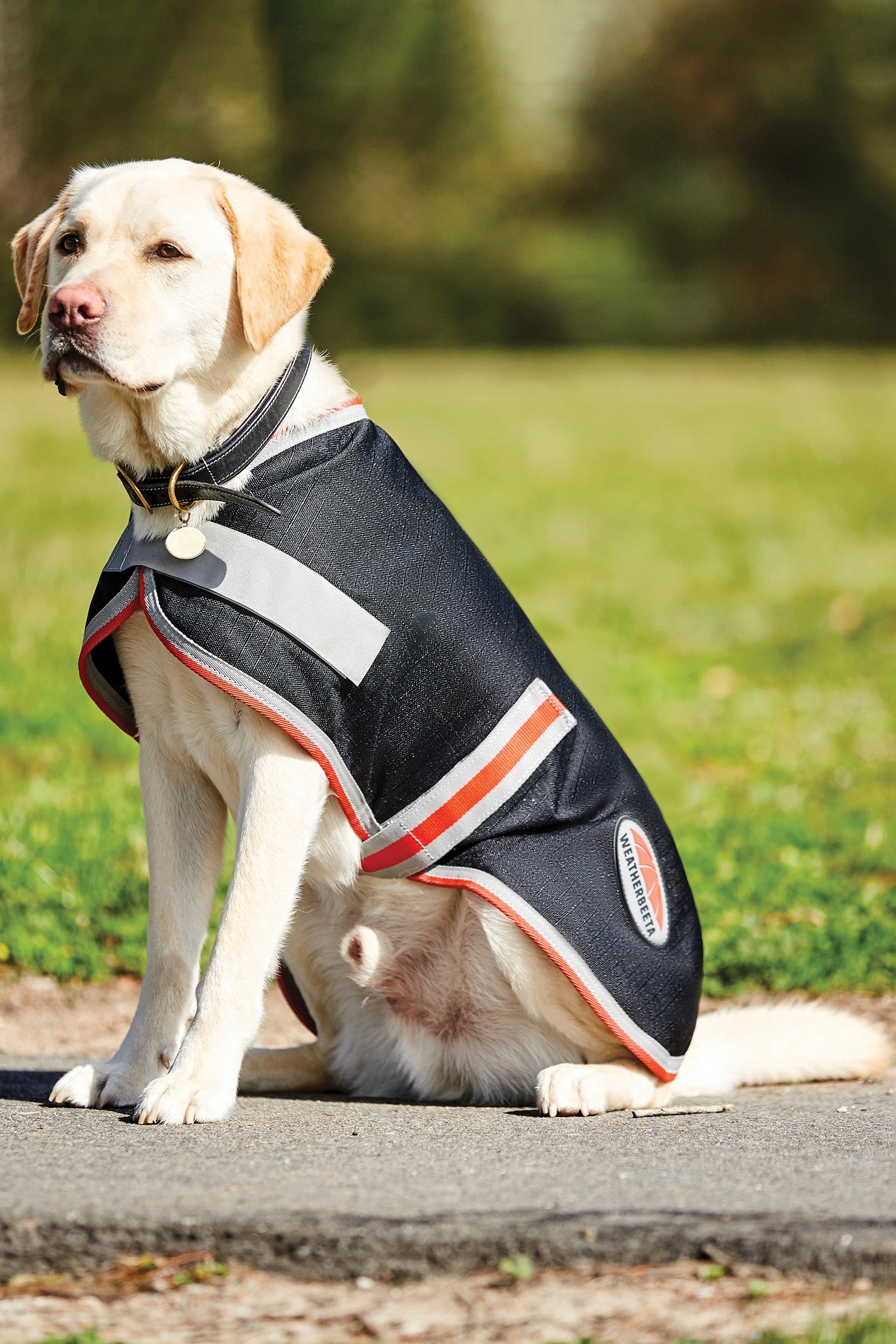 Weatherbeeta Comfitec Therapy-Tec 1200D Dog Coat, 100g Dog Accesories