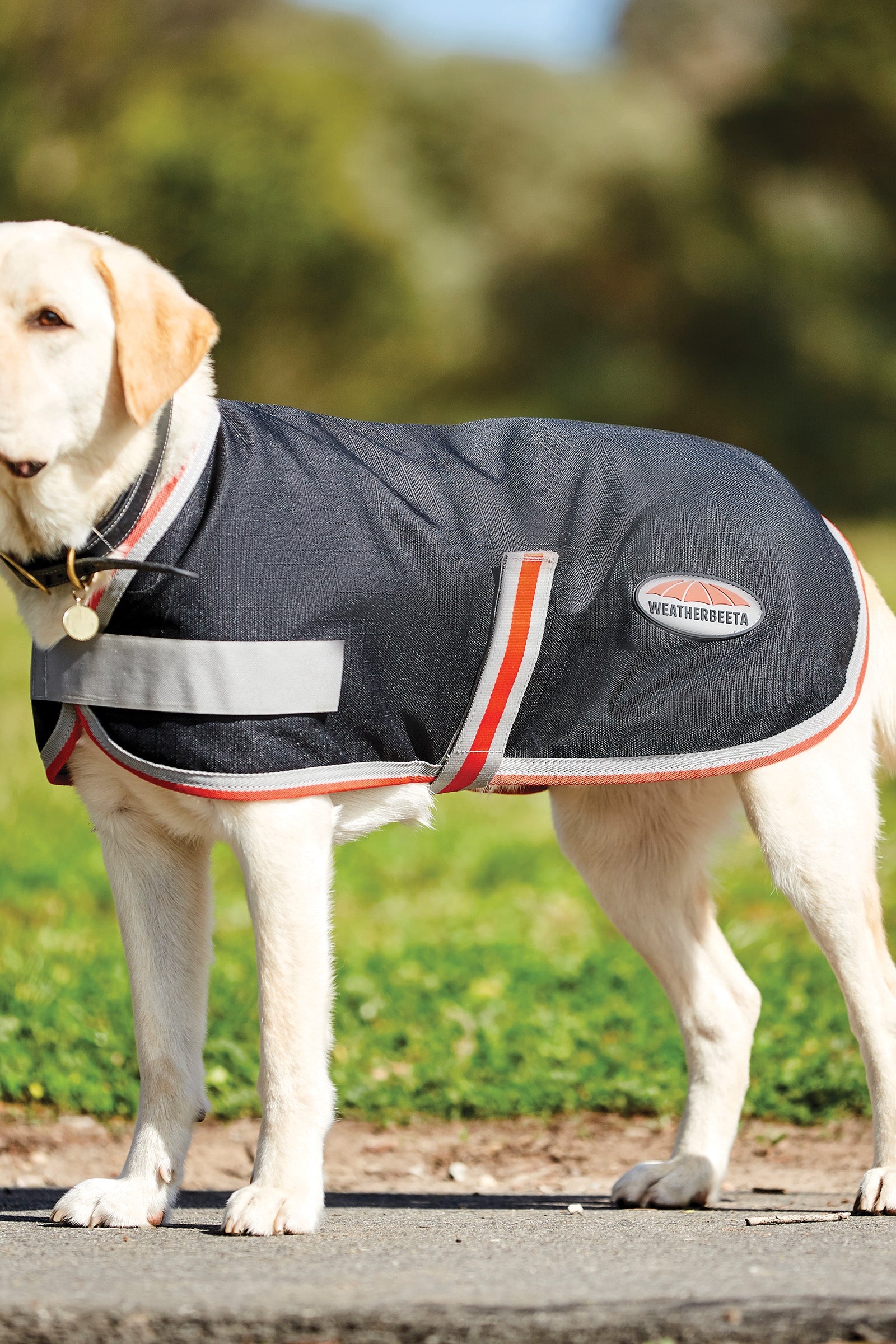 Weatherbeeta Comfitec Therapy-Tec 1200D Dog Coat, 100g Dog Accesories