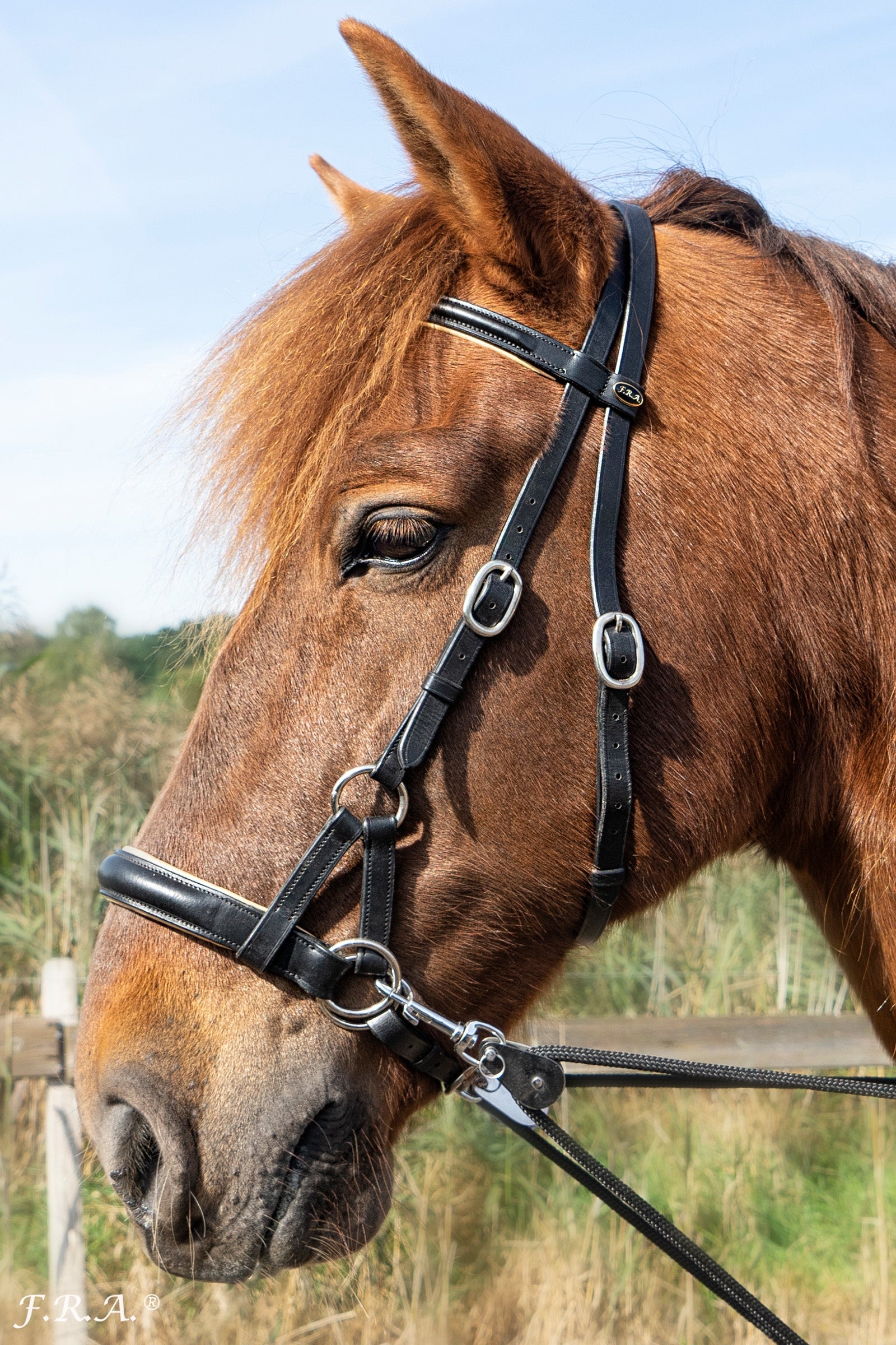 F.R.A. Freedom Riding Articles Pardoes de Luxe Sidepull With Reins (System 3) Bridles & Reins