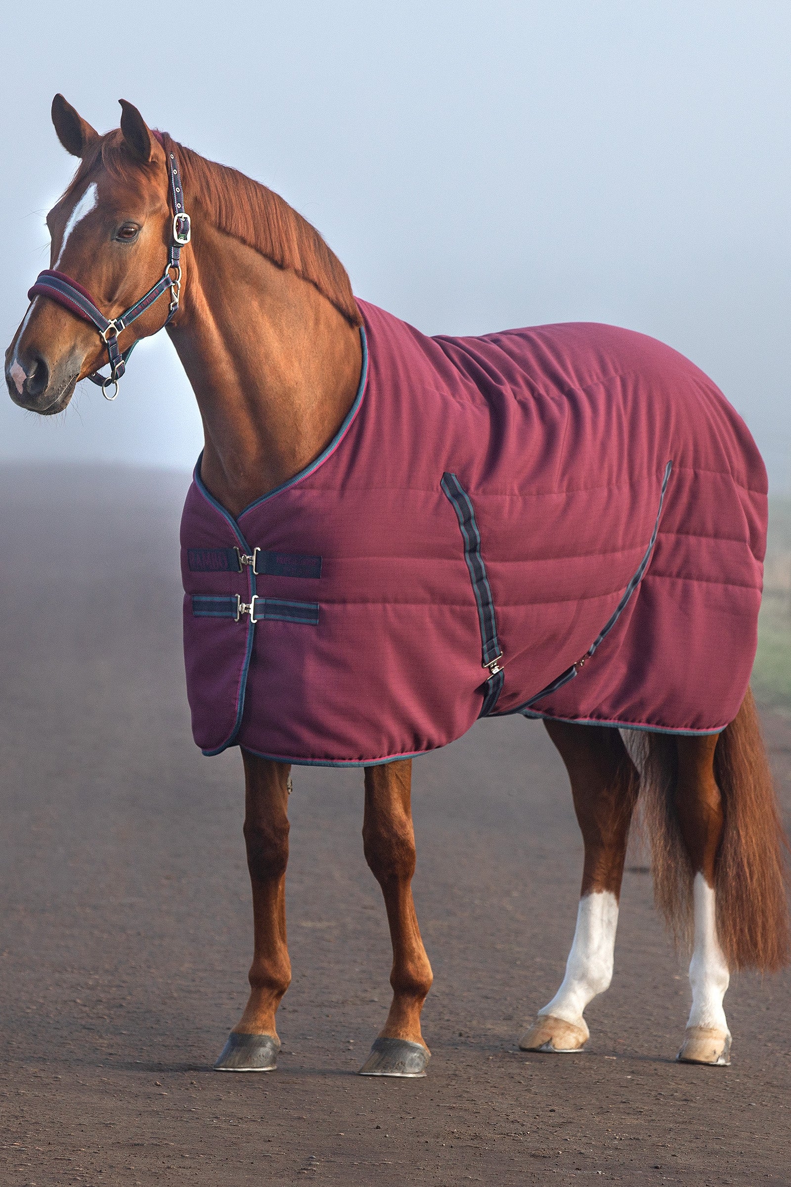 Horseware Stájová deka Rambo s reliéfní podšívkou, 100g Horse Rugs