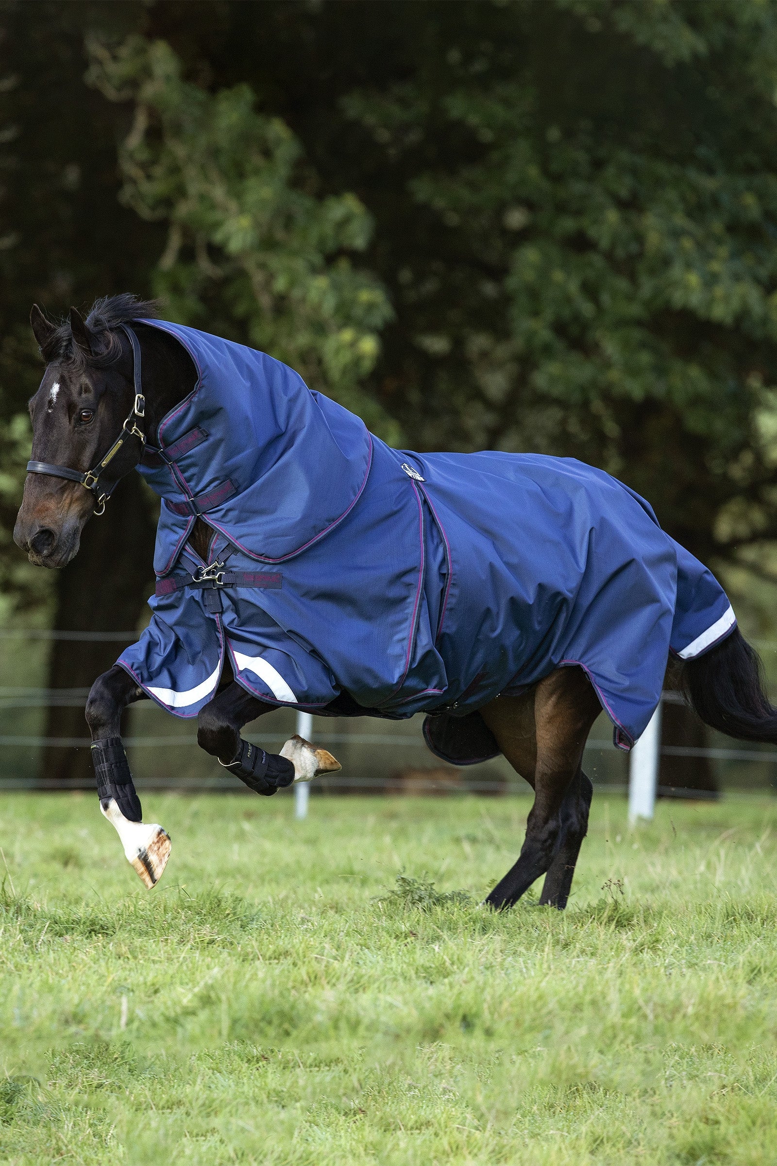 Horseware Rambo Optimo Plus příkrýš 0g Horse Rugs