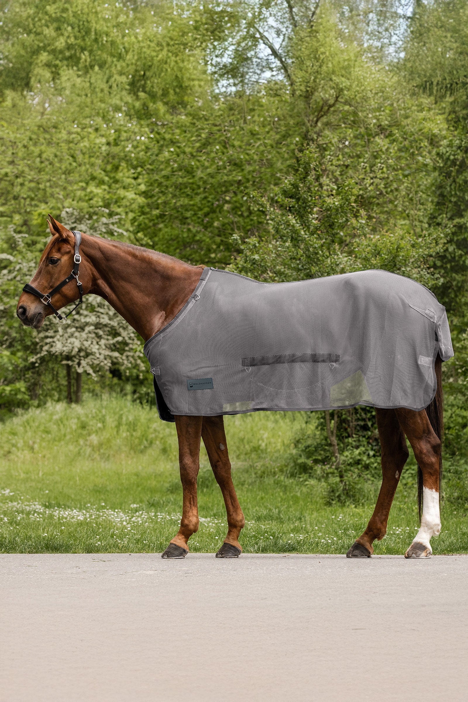 Waldhausen Comfort muchová deka s břišním krytem Horse Rugs