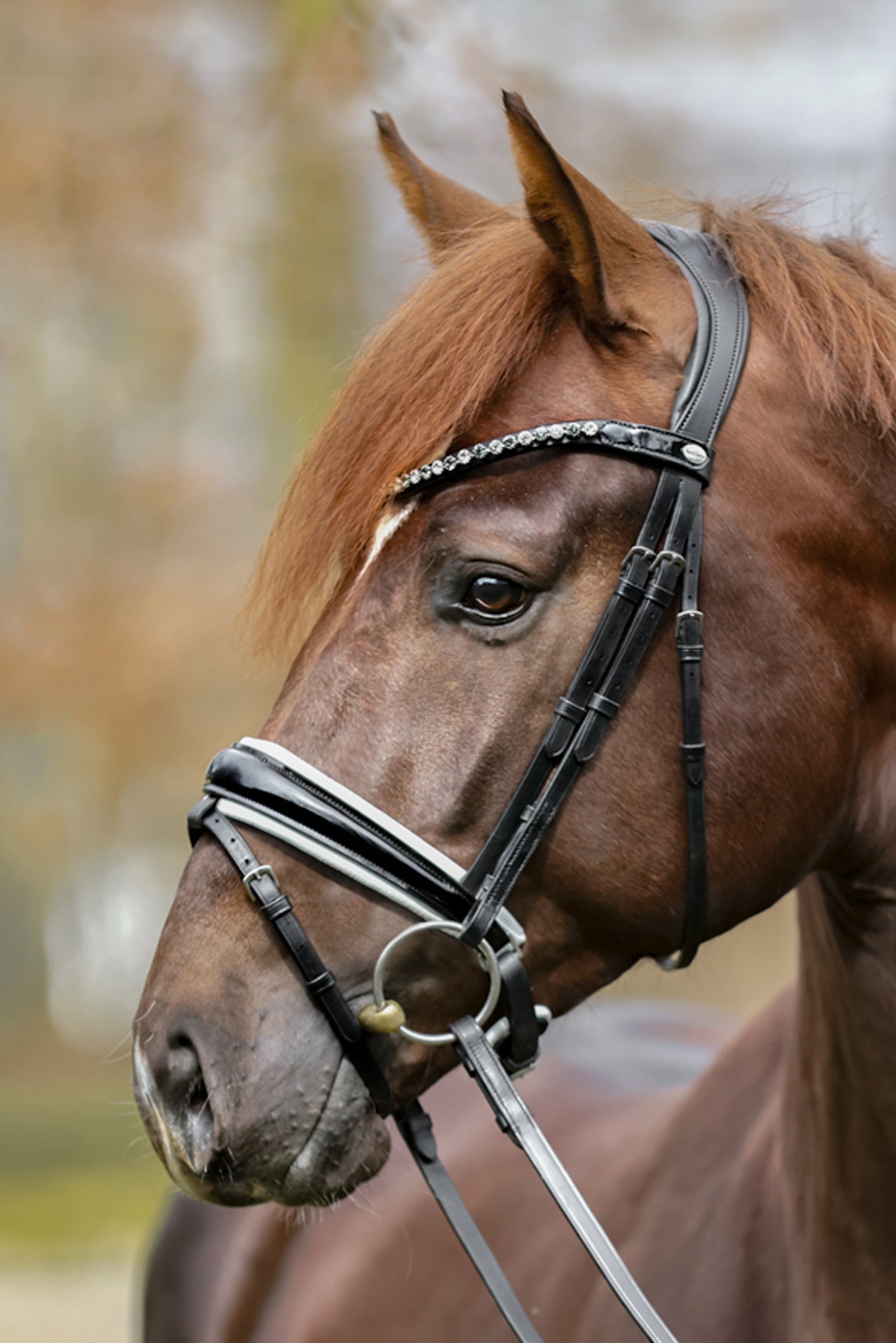 Kavalkade Liliana Kranková Trense Bridles & Reins