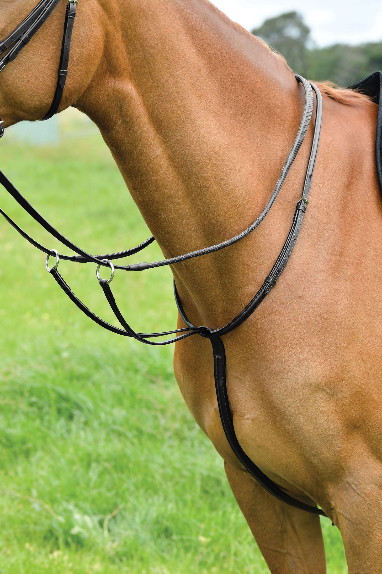 Kincade klasický martingal s erhovaným prošíváním Bridles & Reins