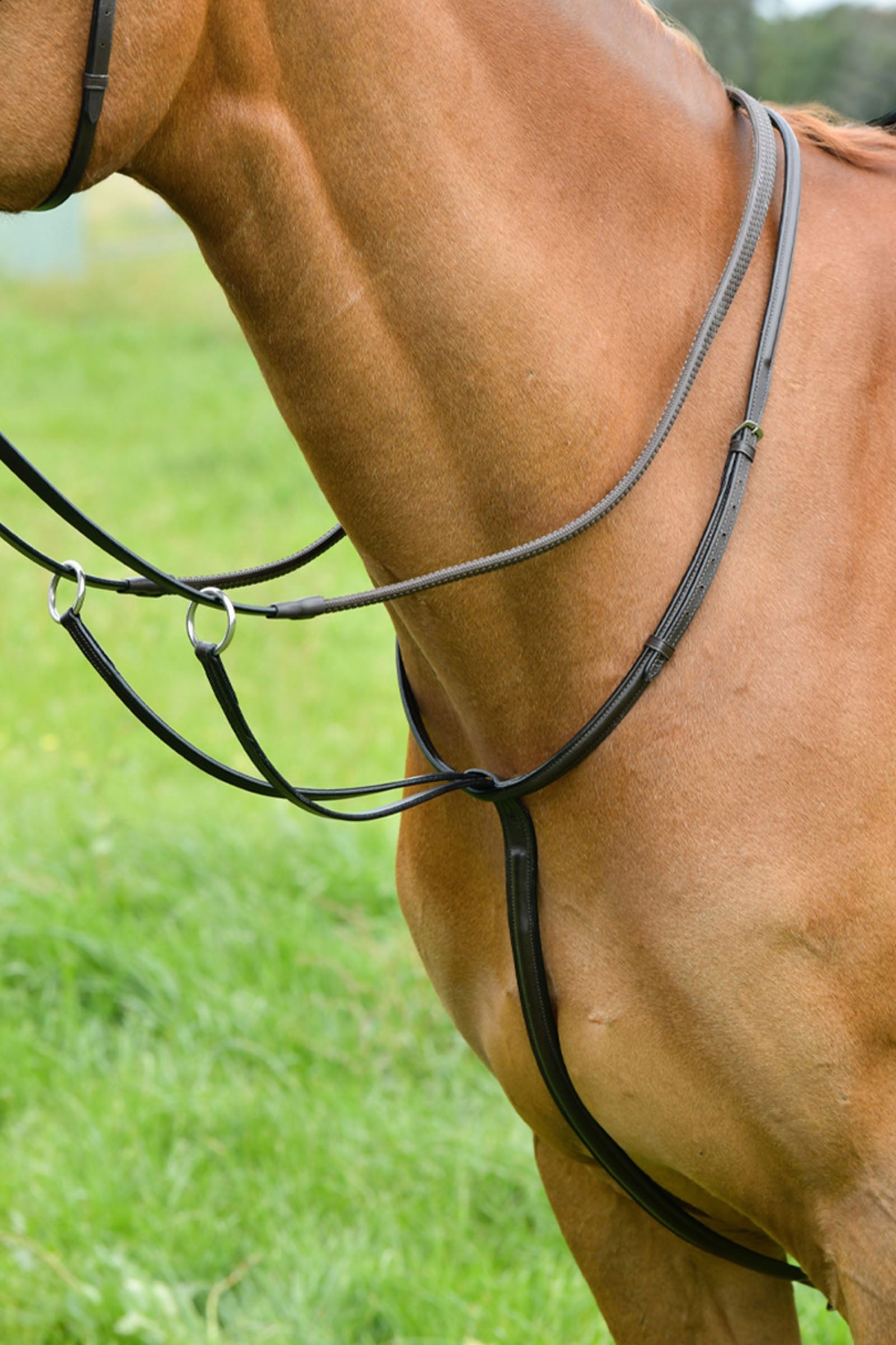 Kincade klasický martingal s erhovaným prošíváním Bridles & Reins