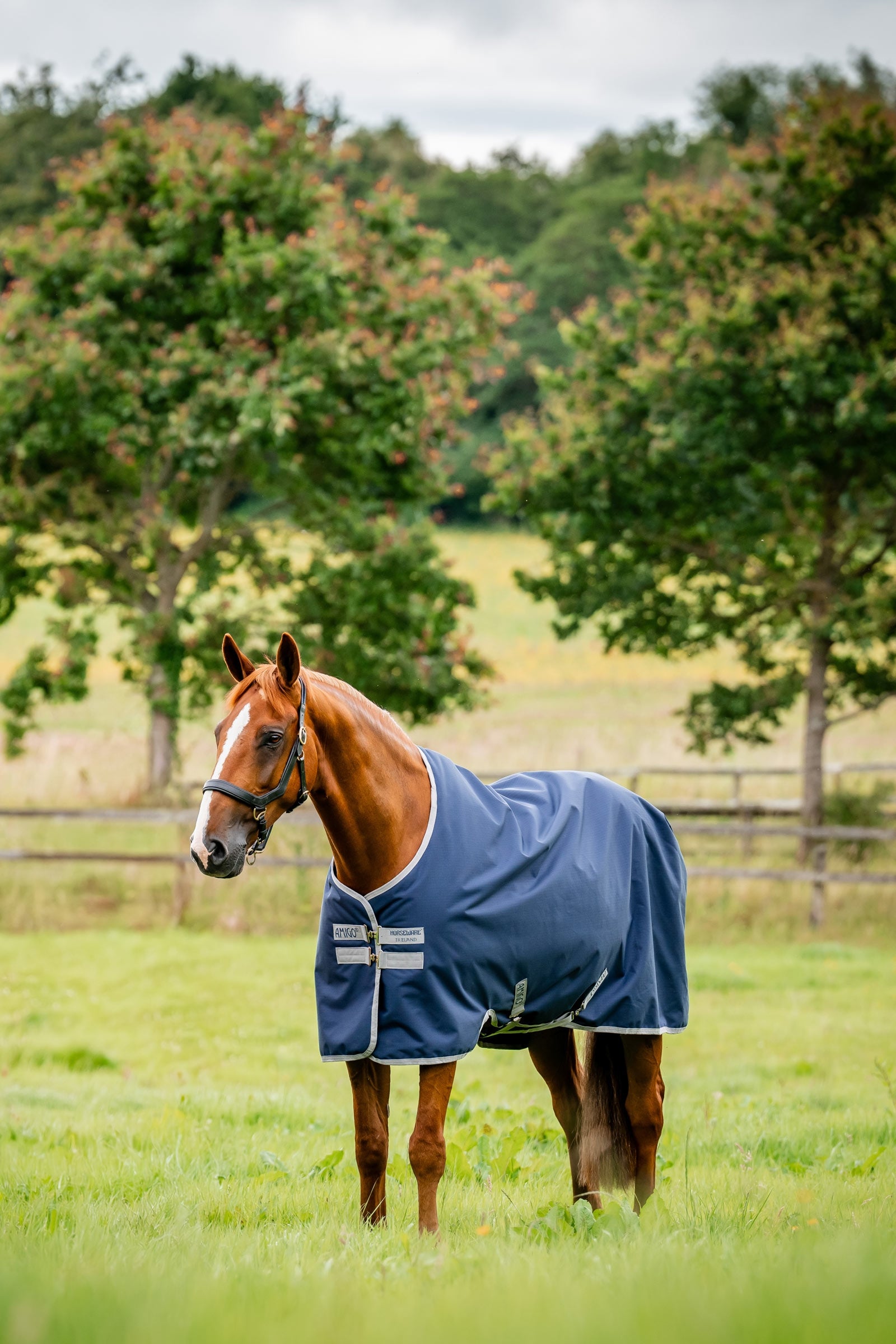 Horseware Amigo výběhová deka Ripstop 900D, 100 g Horse Rugs