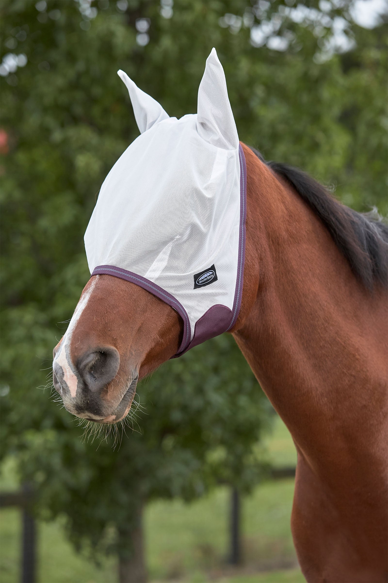 Weatherbeeta Comfitec Essential síťovaná maska Antifly Protection for Horses