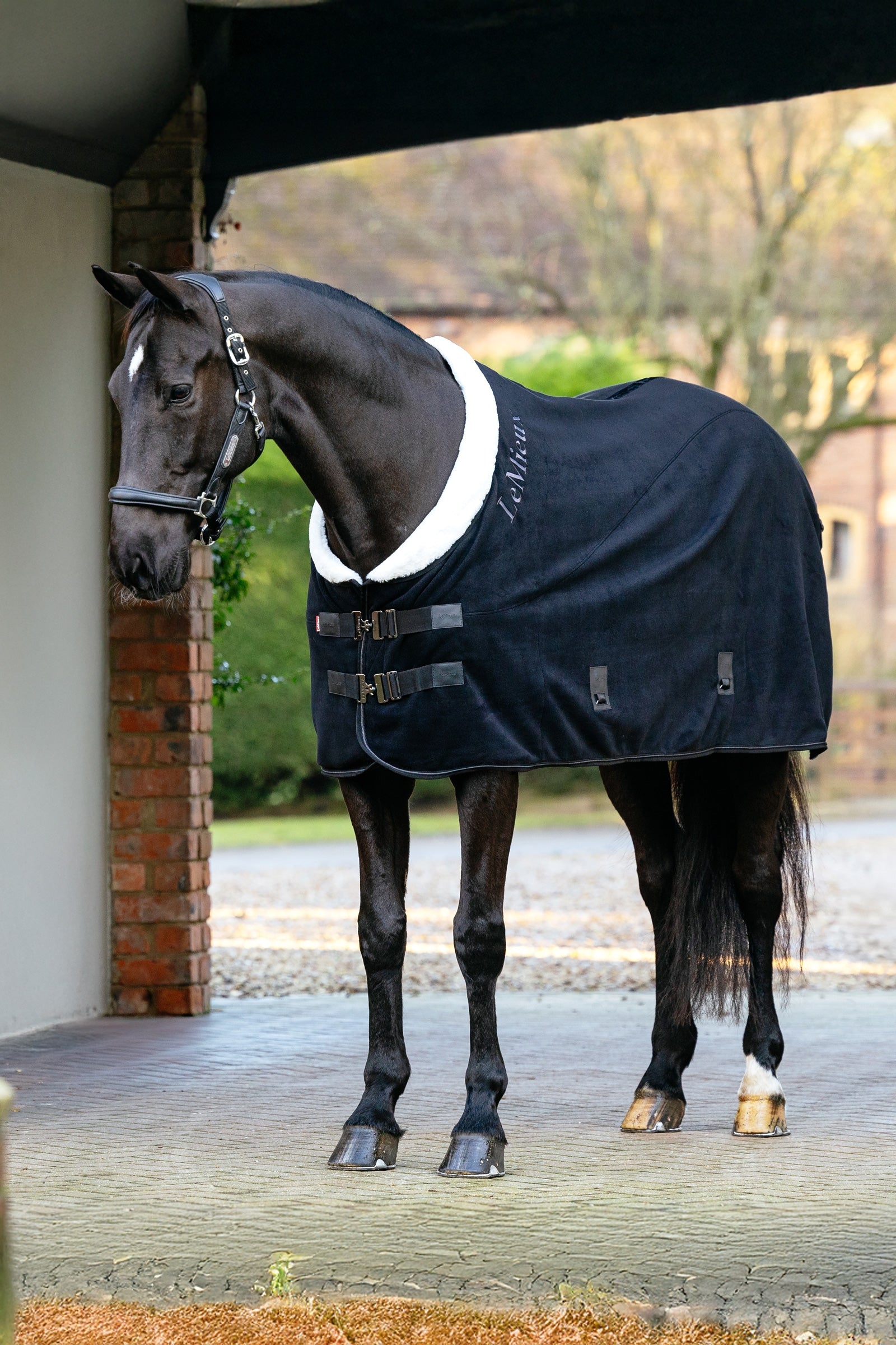 LeMieux Kudos Luxe Fleece Rug Horse Rugs